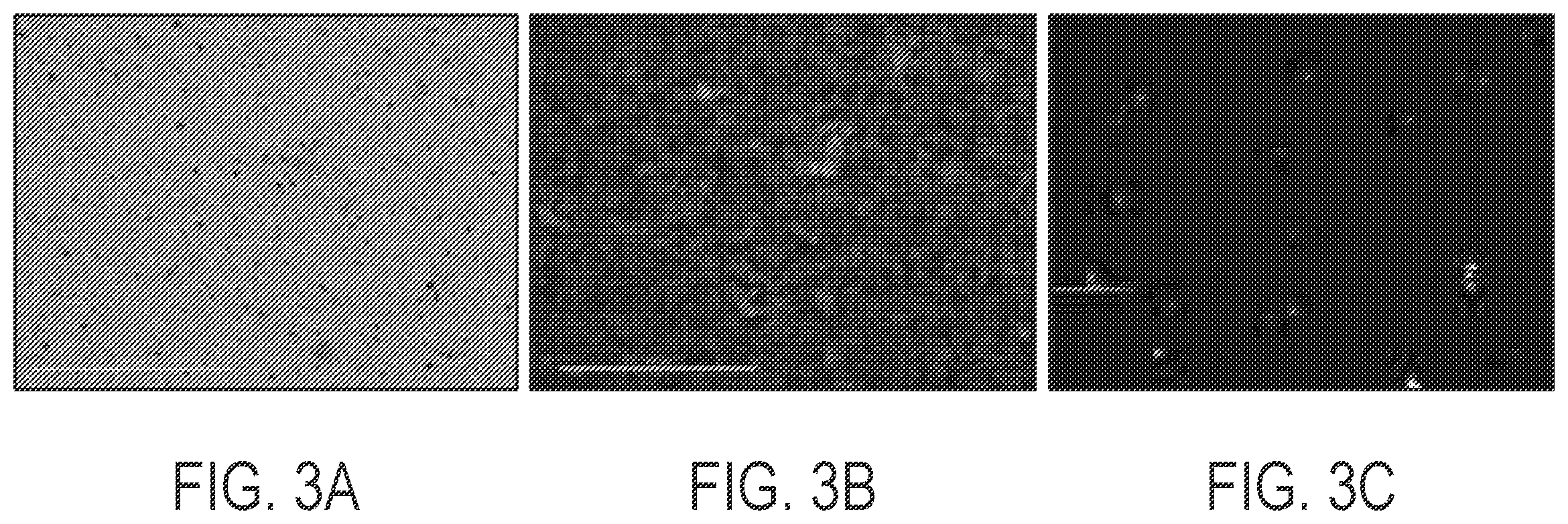 Patent US12480084 Figure 3 – Kit and method for preparation of digestible spheroid stabilizing hydrogels