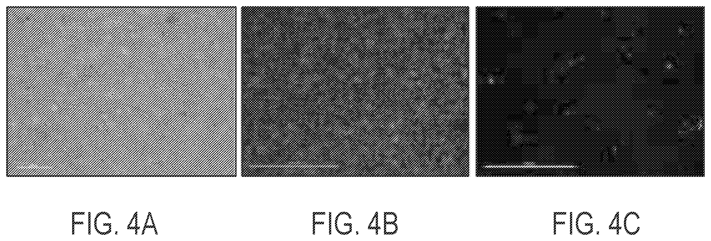 Patent US12480084 Figure 4 – Kit and method for preparation of digestible spheroid stabilizing hydrogels