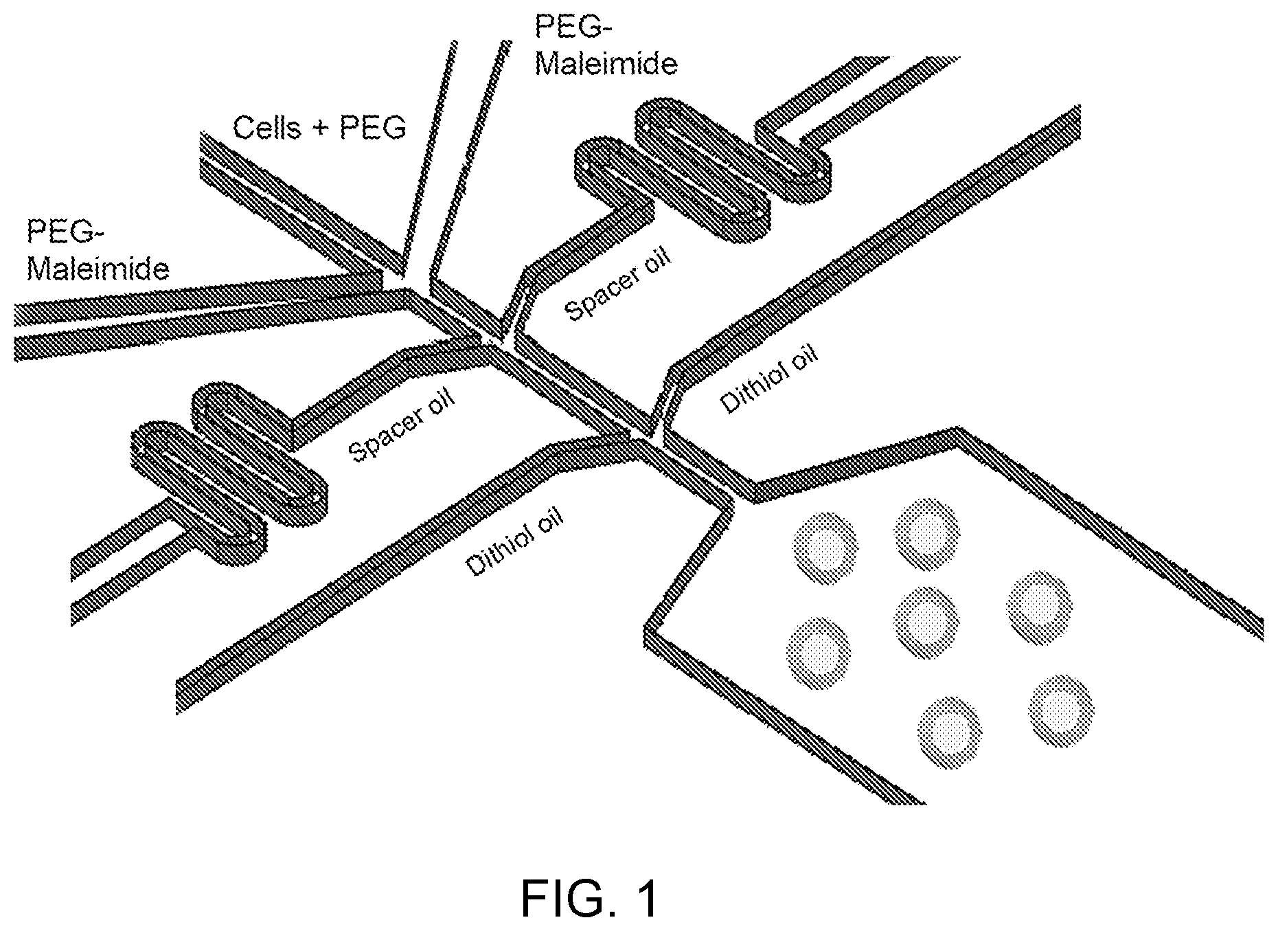 Patent US12480090 Figure 1 – Contiguity particle formation and methods of use