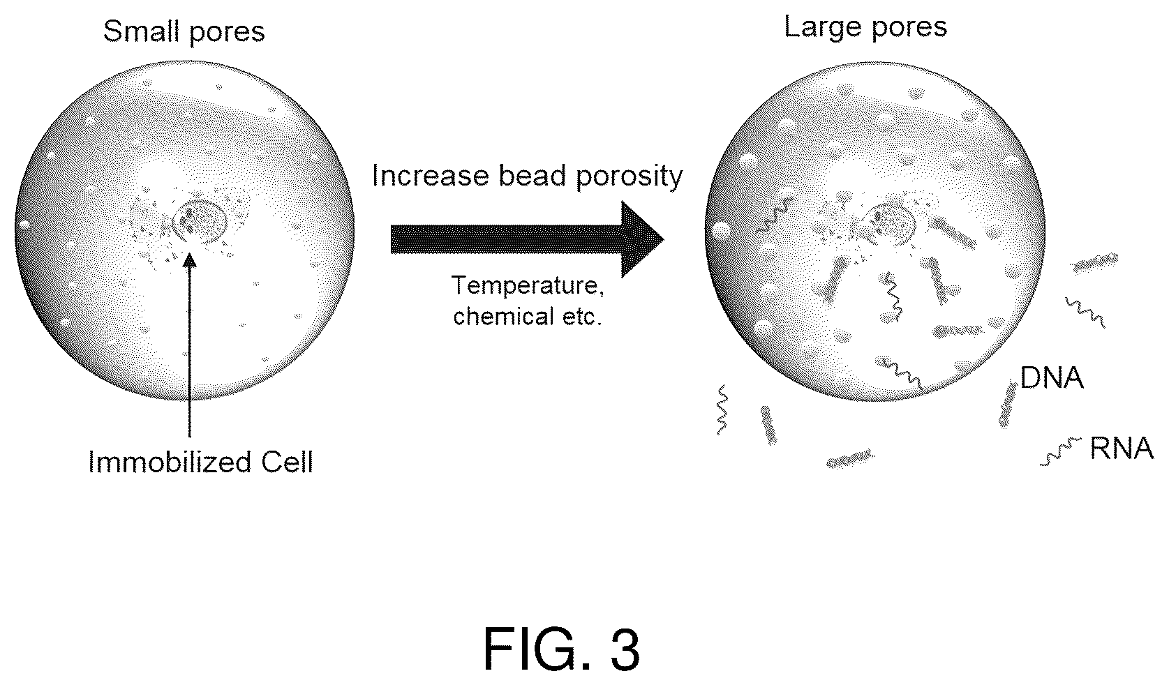 Patent US12480090 Figure 3 – Contiguity particle formation and methods of use