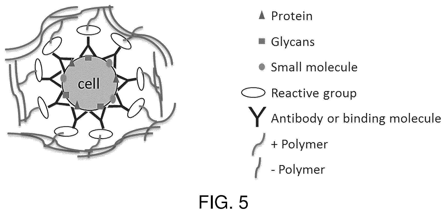 Patent US12480090 Figure 5 – Contiguity particle formation and methods of use