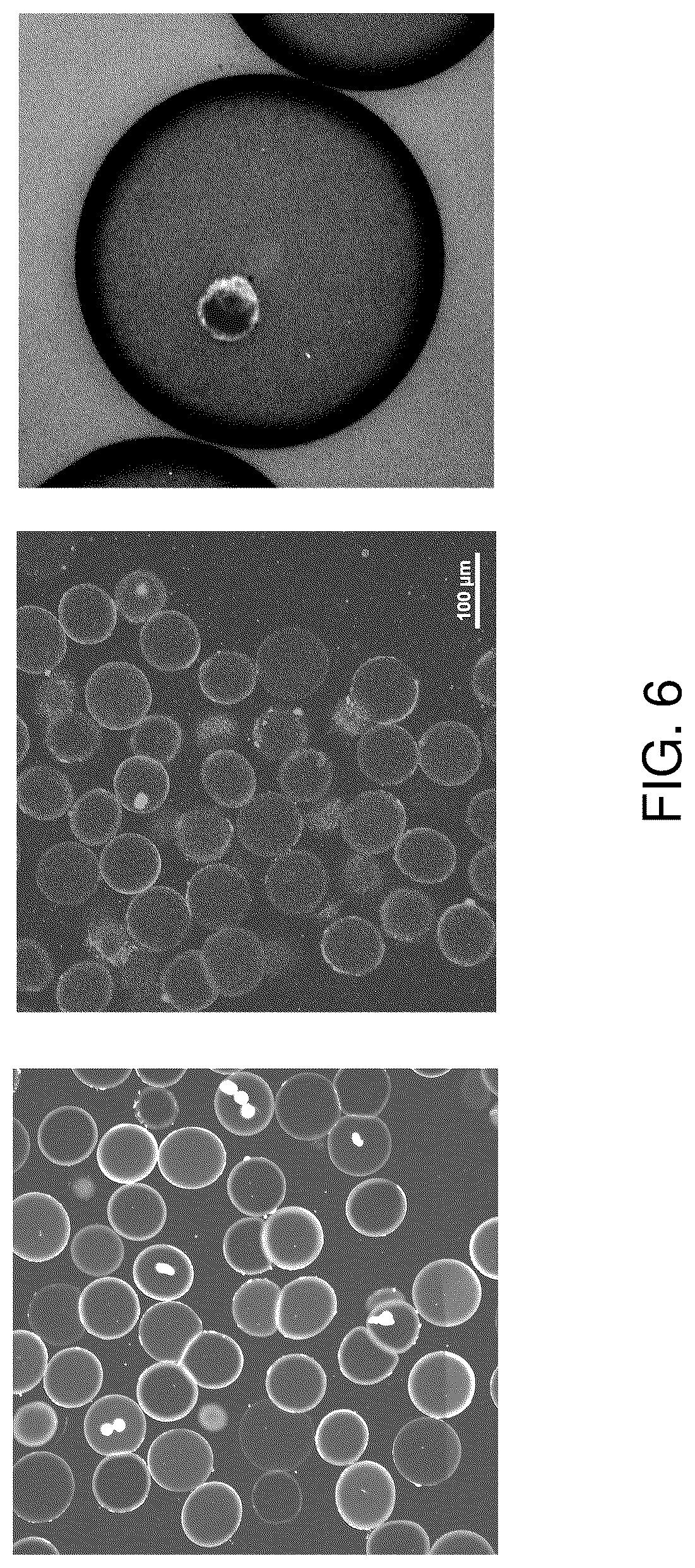 Patent US12480090 Figure 6 – Contiguity particle formation and methods of use