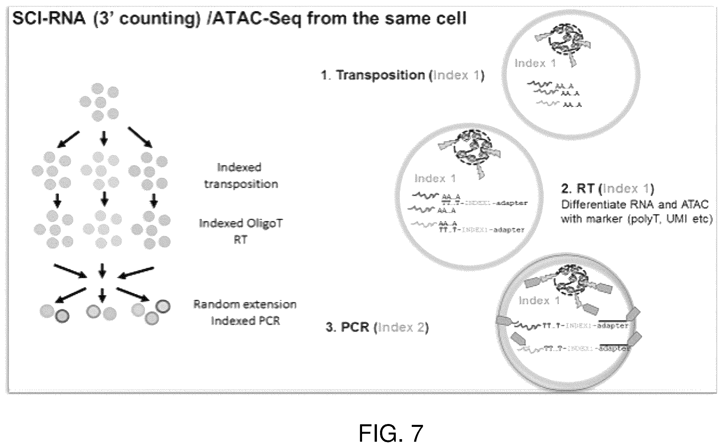 Patent US12480090 Figure 7 – Contiguity particle formation and methods of use