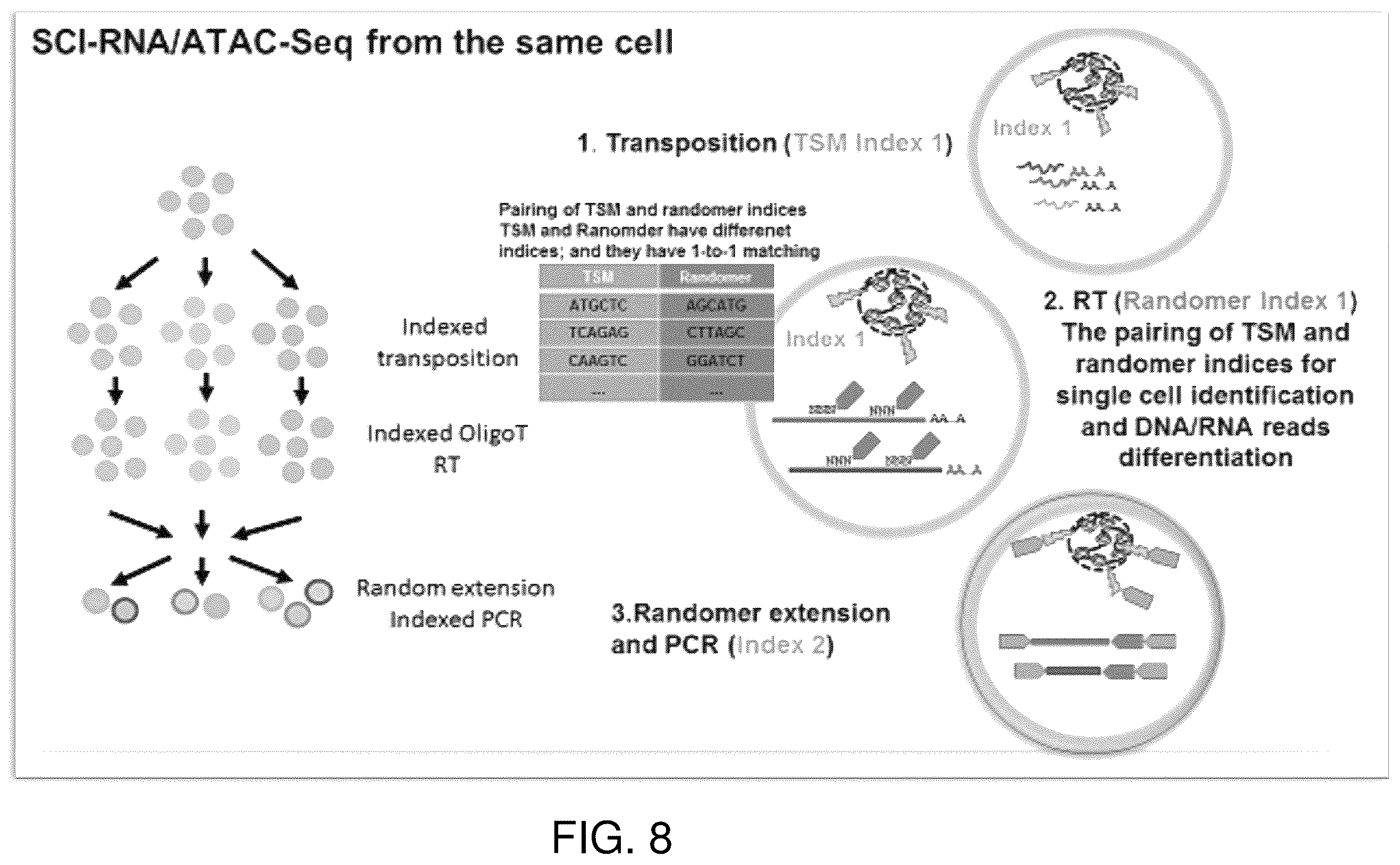 Patent US12480090 Figure 8 – Contiguity particle formation and methods of use