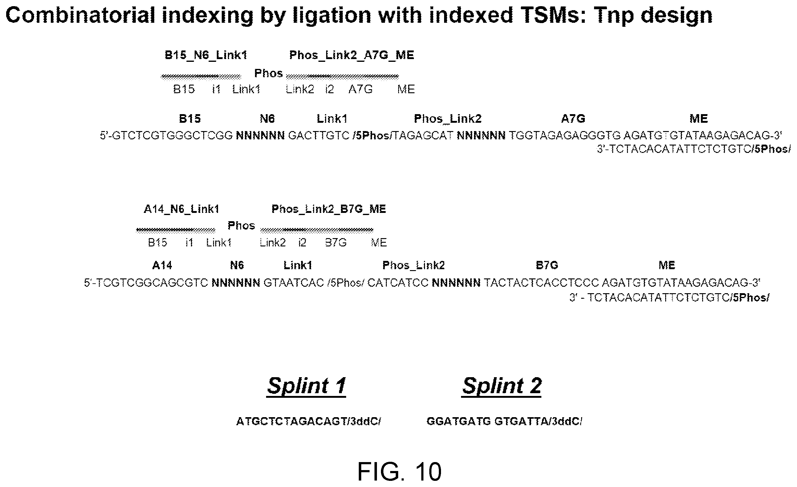 Patent US12480090 Figure 10 – Contiguity particle formation and methods of use