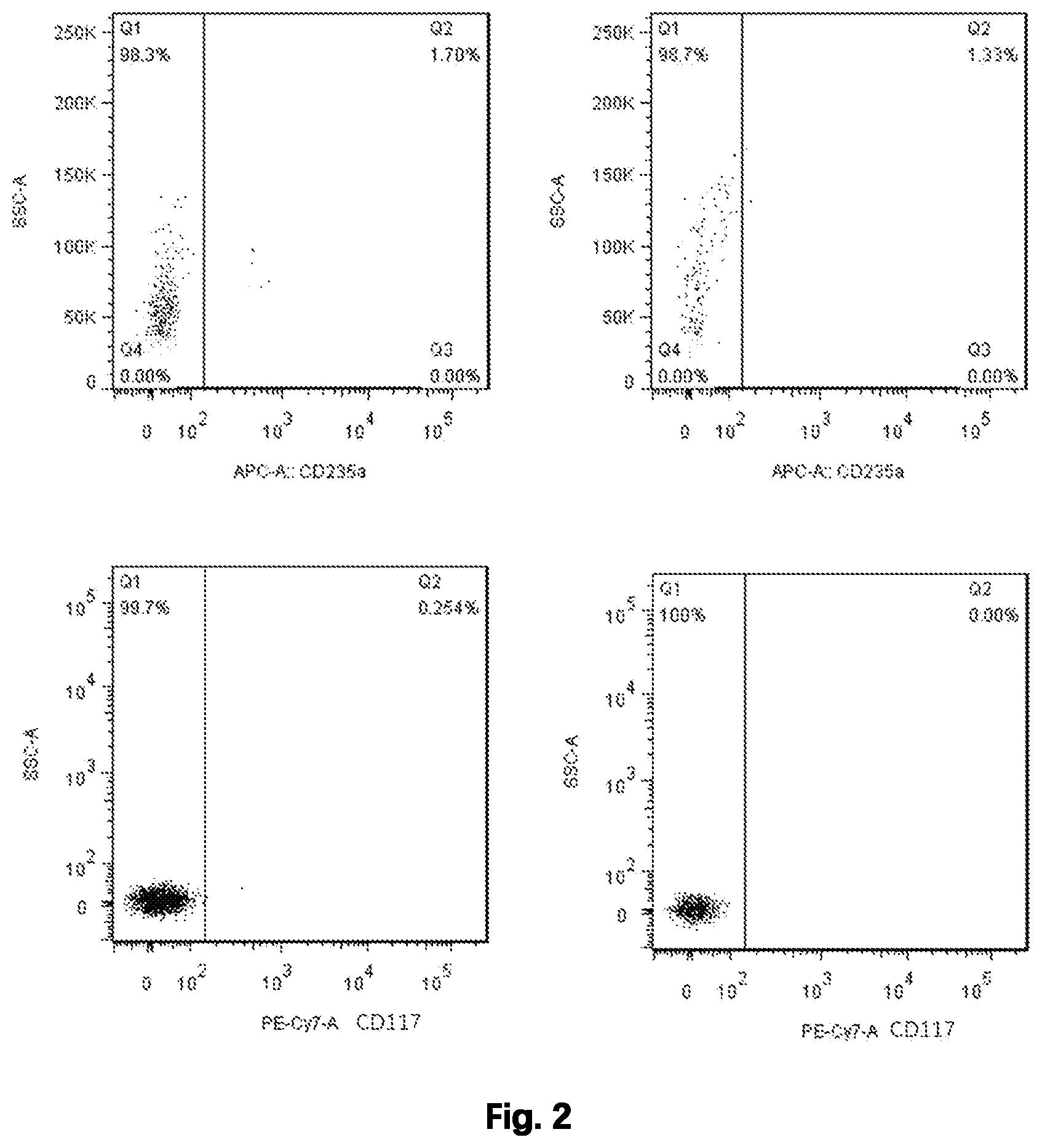 Patent US12480092 Figure 2 – Method for preparing mature red blood cells in vitro using peripheral blood