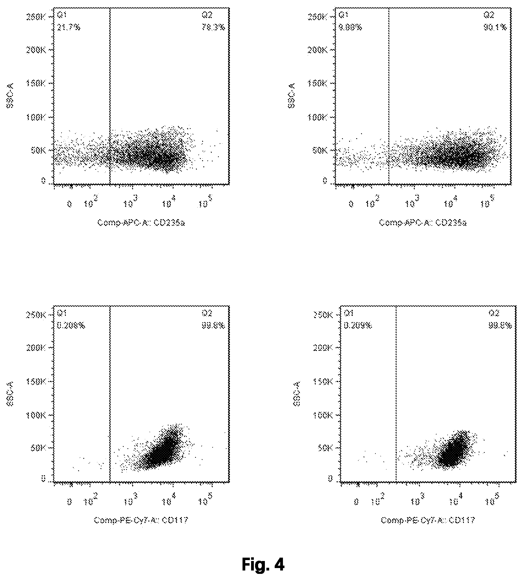 Patent US12480092 Figure 4 – Method for preparing mature red blood cells in vitro using peripheral blood