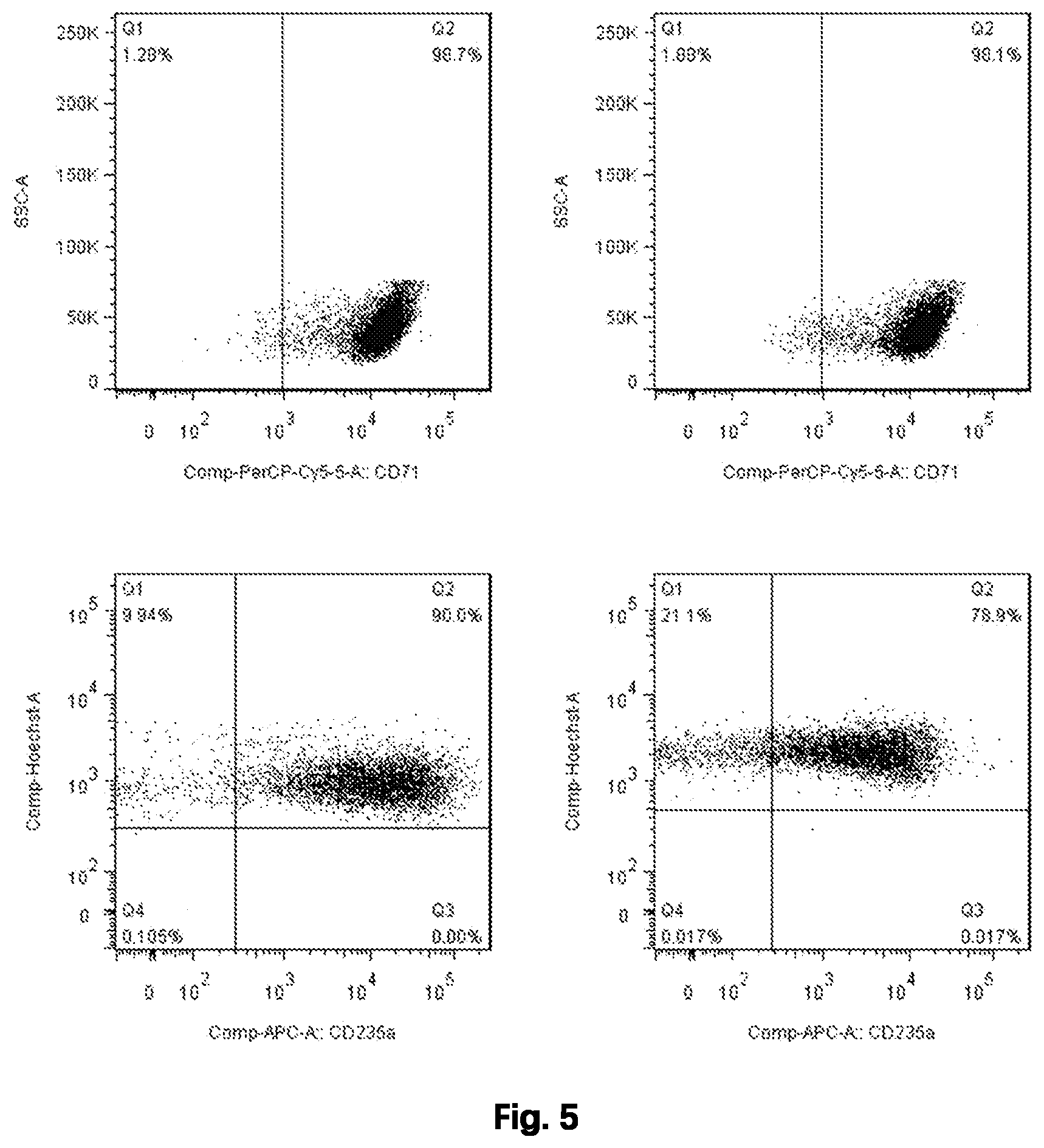 Patent US12480092 Figure 5 – Method for preparing mature red blood cells in vitro using peripheral blood