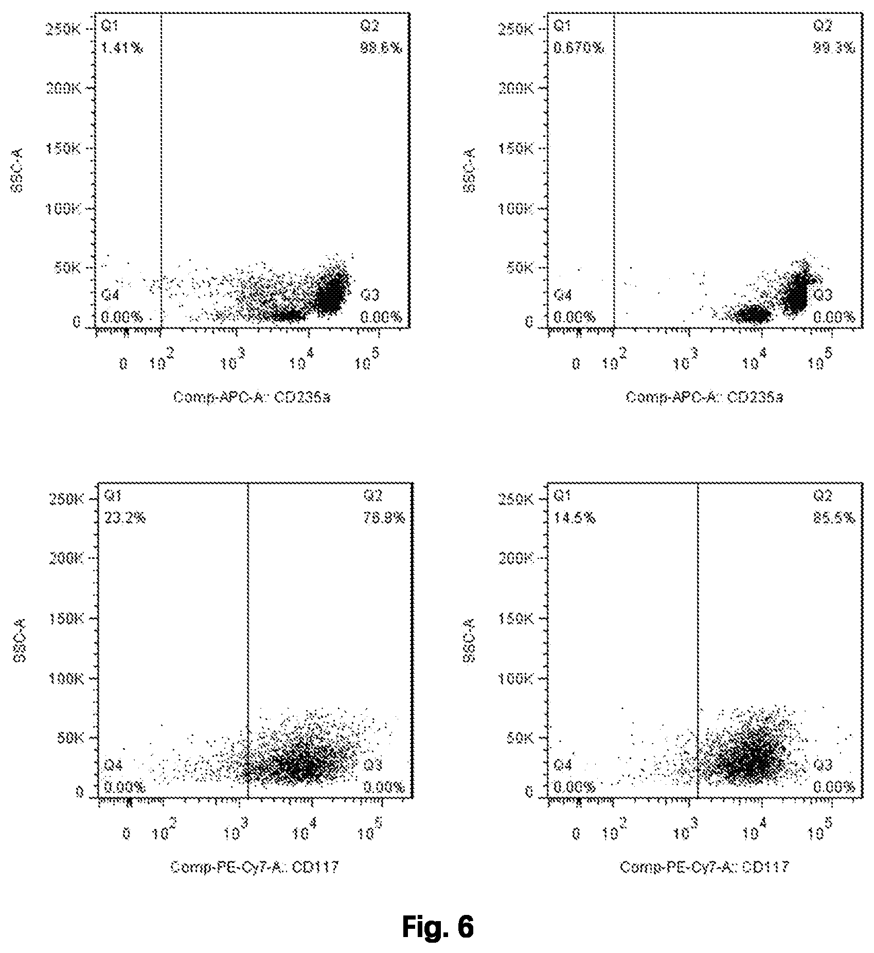 Patent US12480092 Figure 6 – Method for preparing mature red blood cells in vitro using peripheral blood