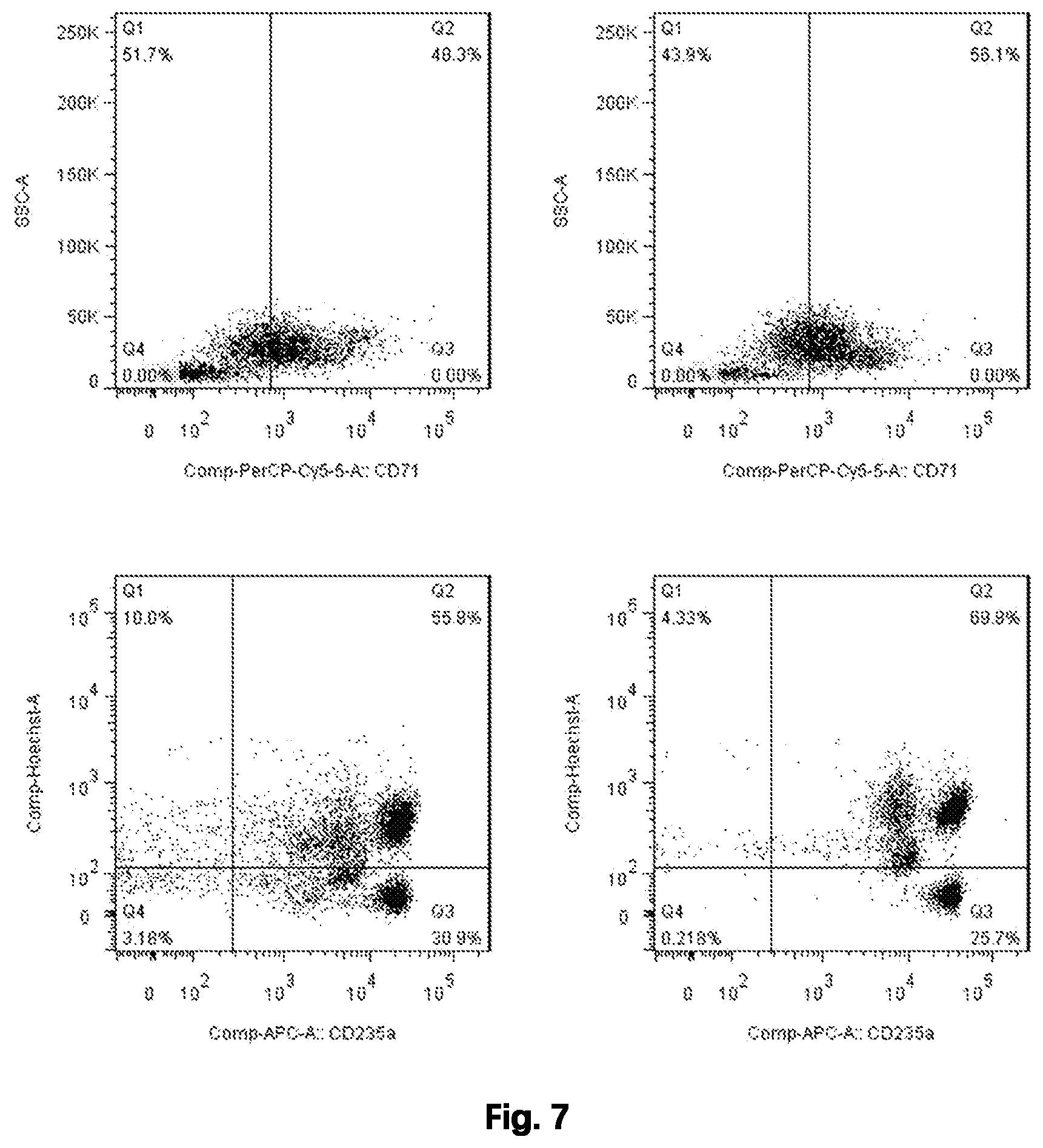 Patent US12480092 Figure 7 – Method for preparing mature red blood cells in vitro using peripheral blood