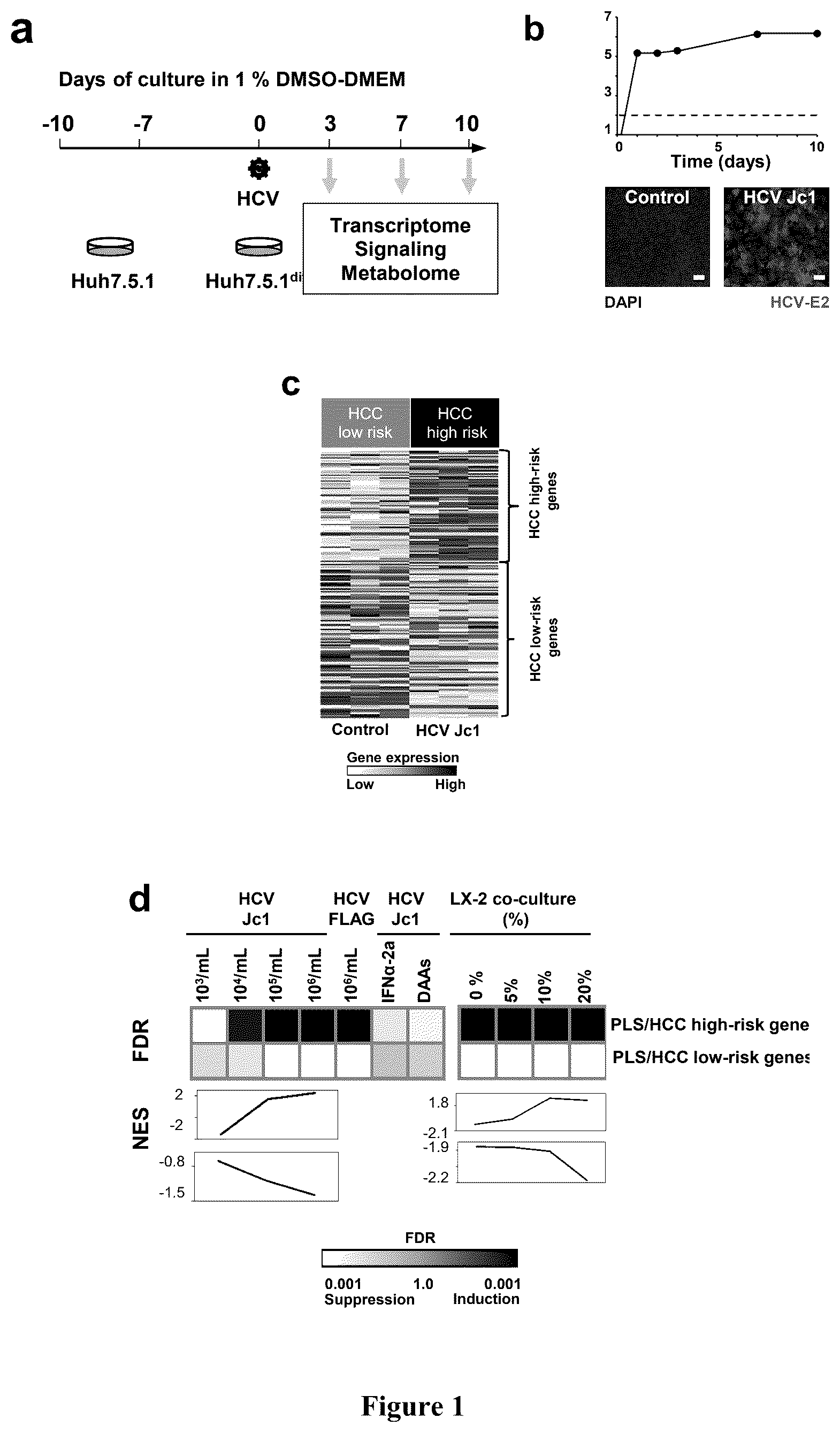 Patent US12480096 — Clinical gene signature-based human cell culture model and uses thereof — Figure 1