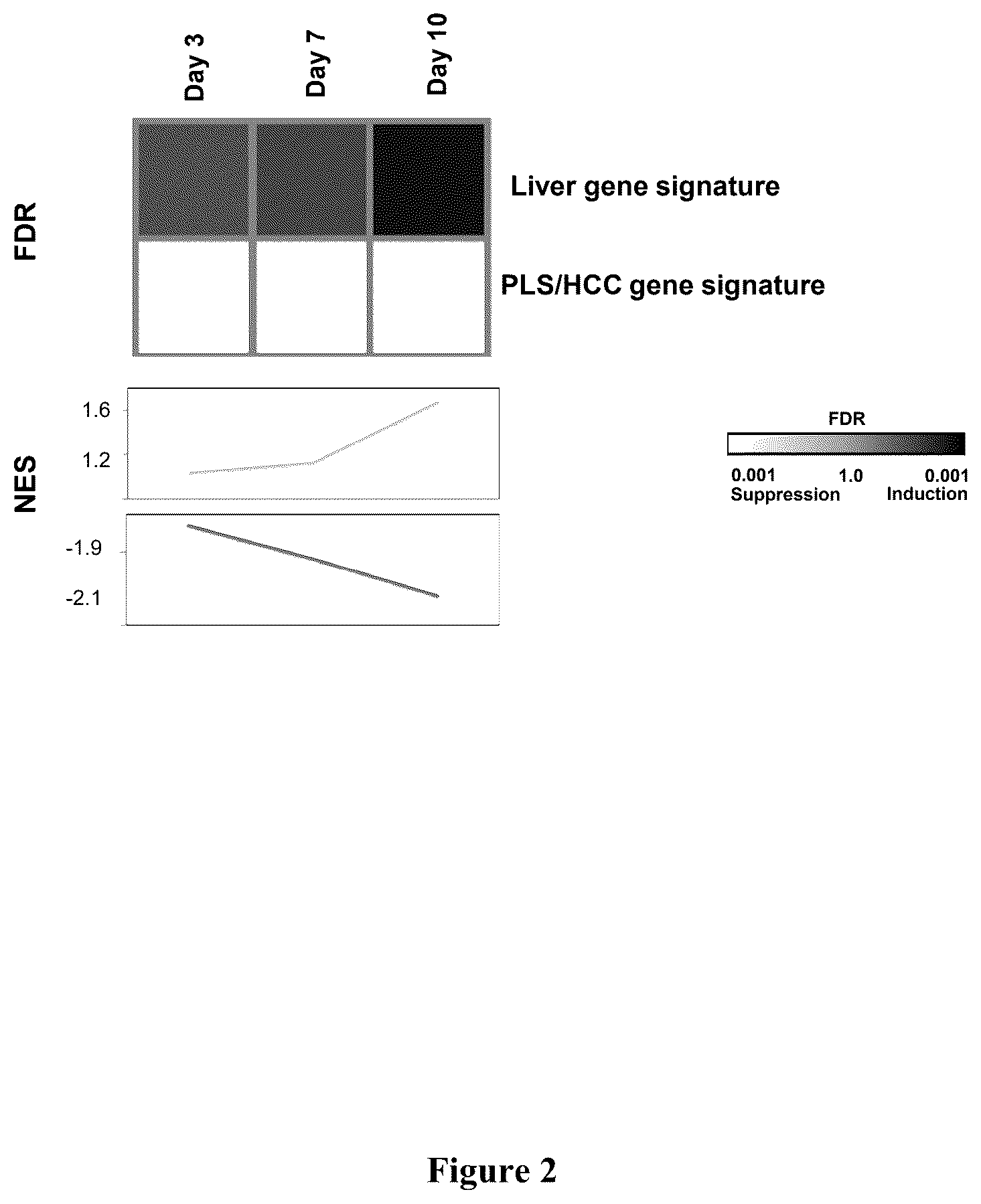 Patent US12480096 Figure 2 – Clinical gene signature-based human cell culture model and uses thereof