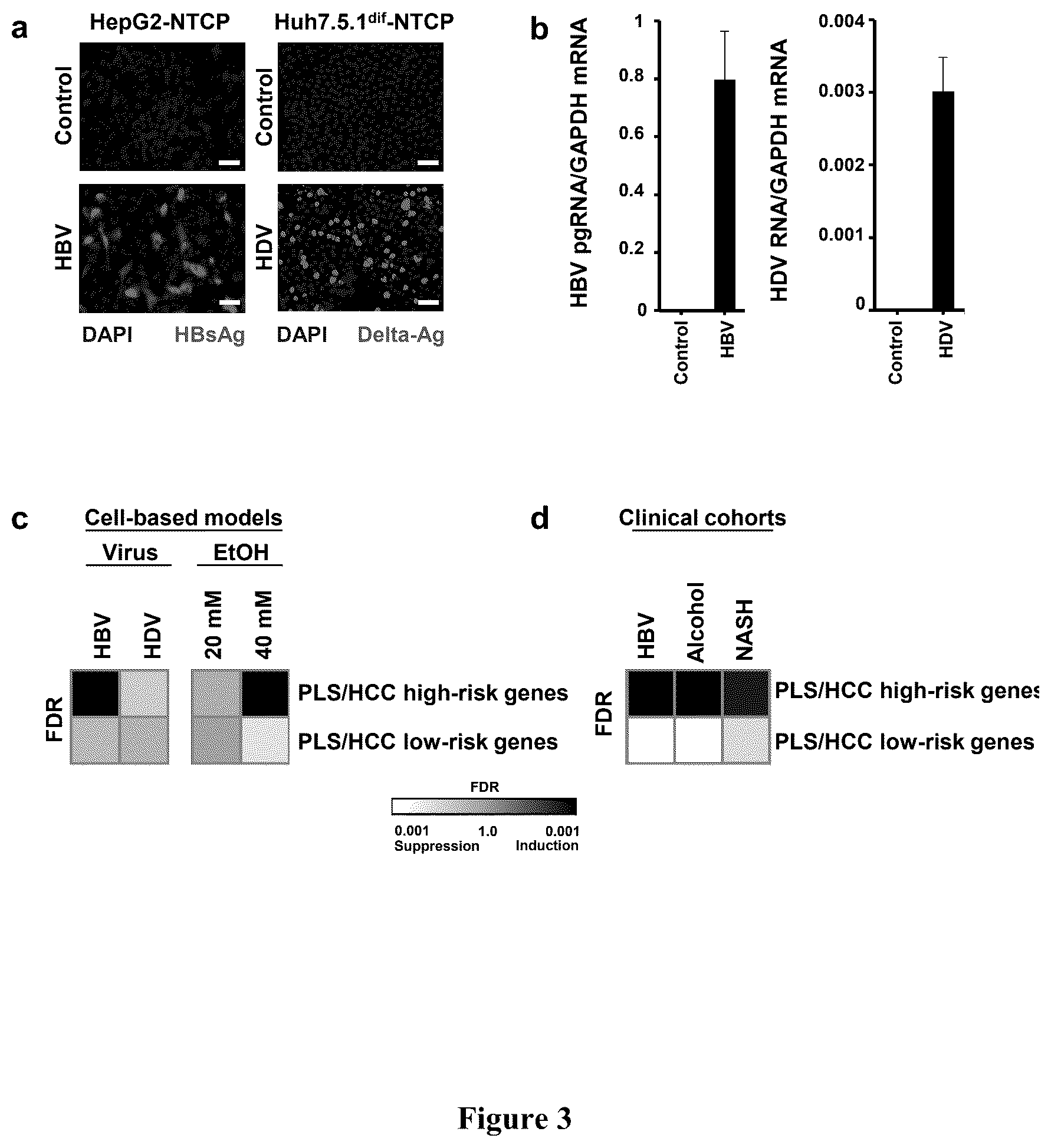 Patent US12480096 Figure 3 – Clinical gene signature-based human cell culture model and uses thereof