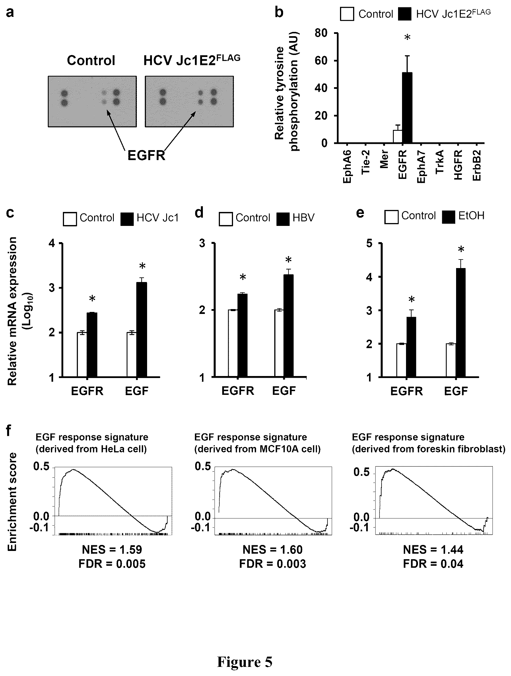 Patent US12480096 Figure 5 – Clinical gene signature-based human cell culture model and uses thereof