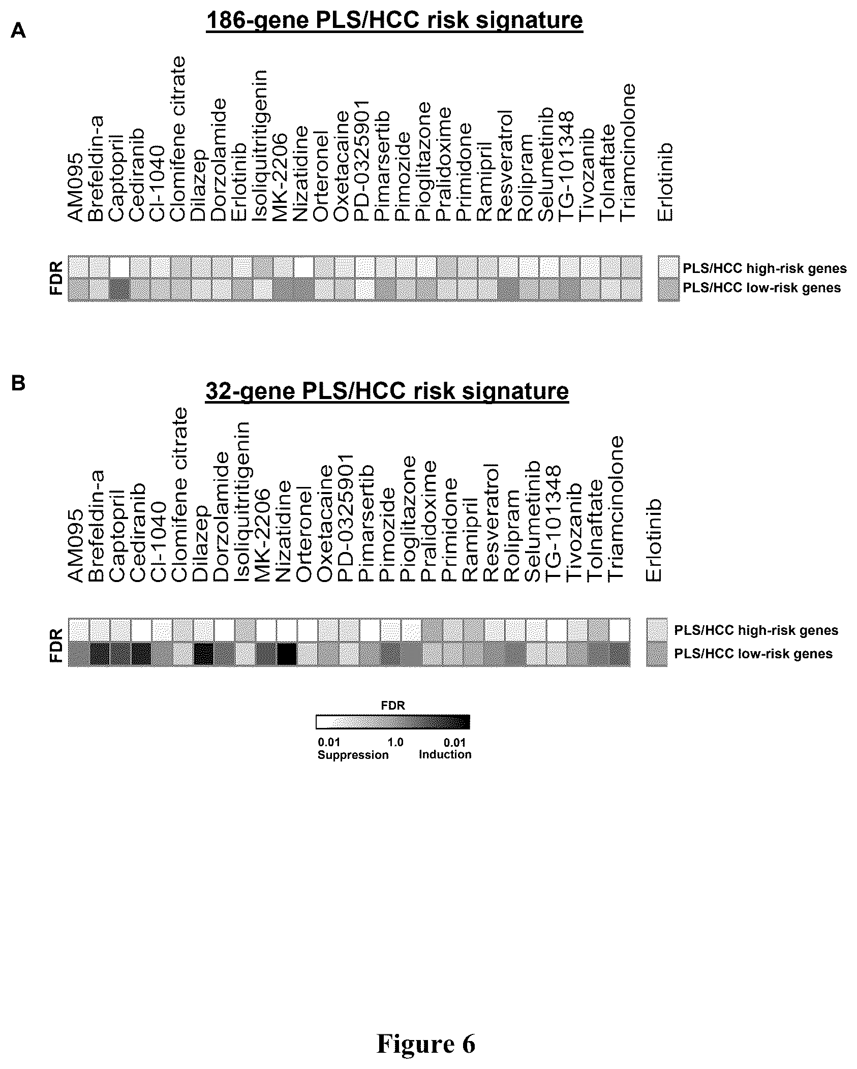 Patent US12480096 Figure 6 – Clinical gene signature-based human cell culture model and uses thereof