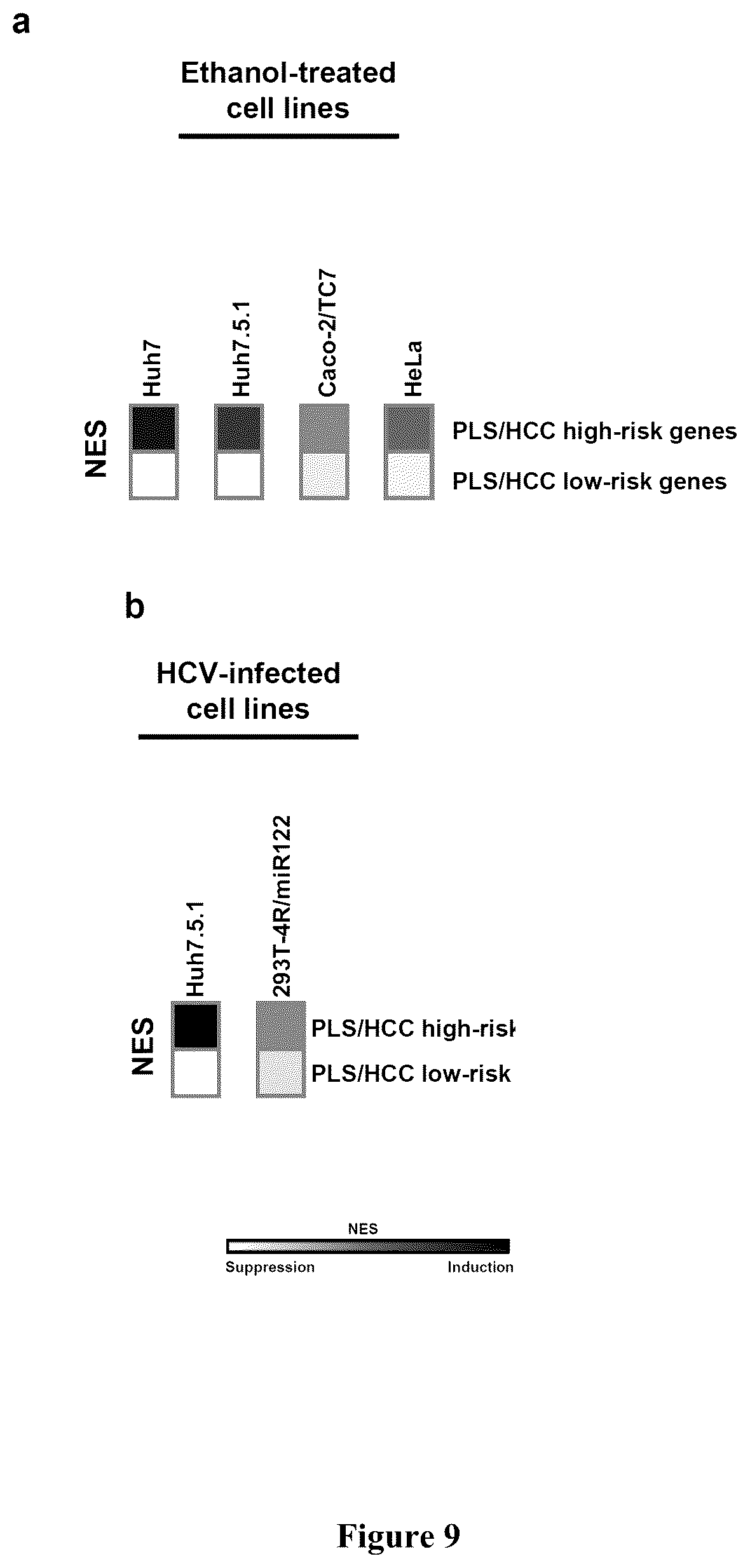 Patent US12480096 Figure 9 – Clinical gene signature-based human cell culture model and uses thereof