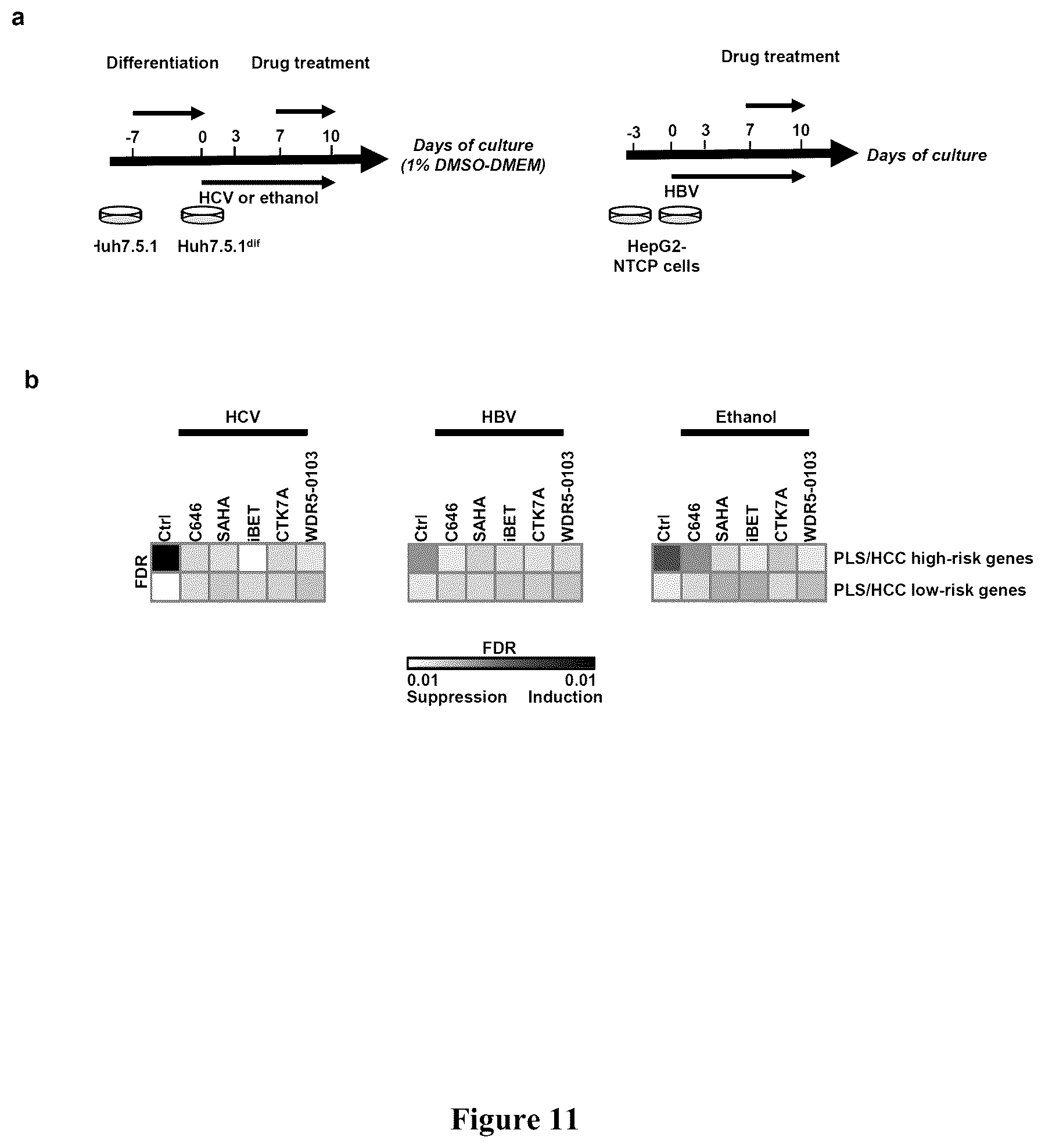 Patent US12480096 Figure 11 – Clinical gene signature-based human cell culture model and uses thereof