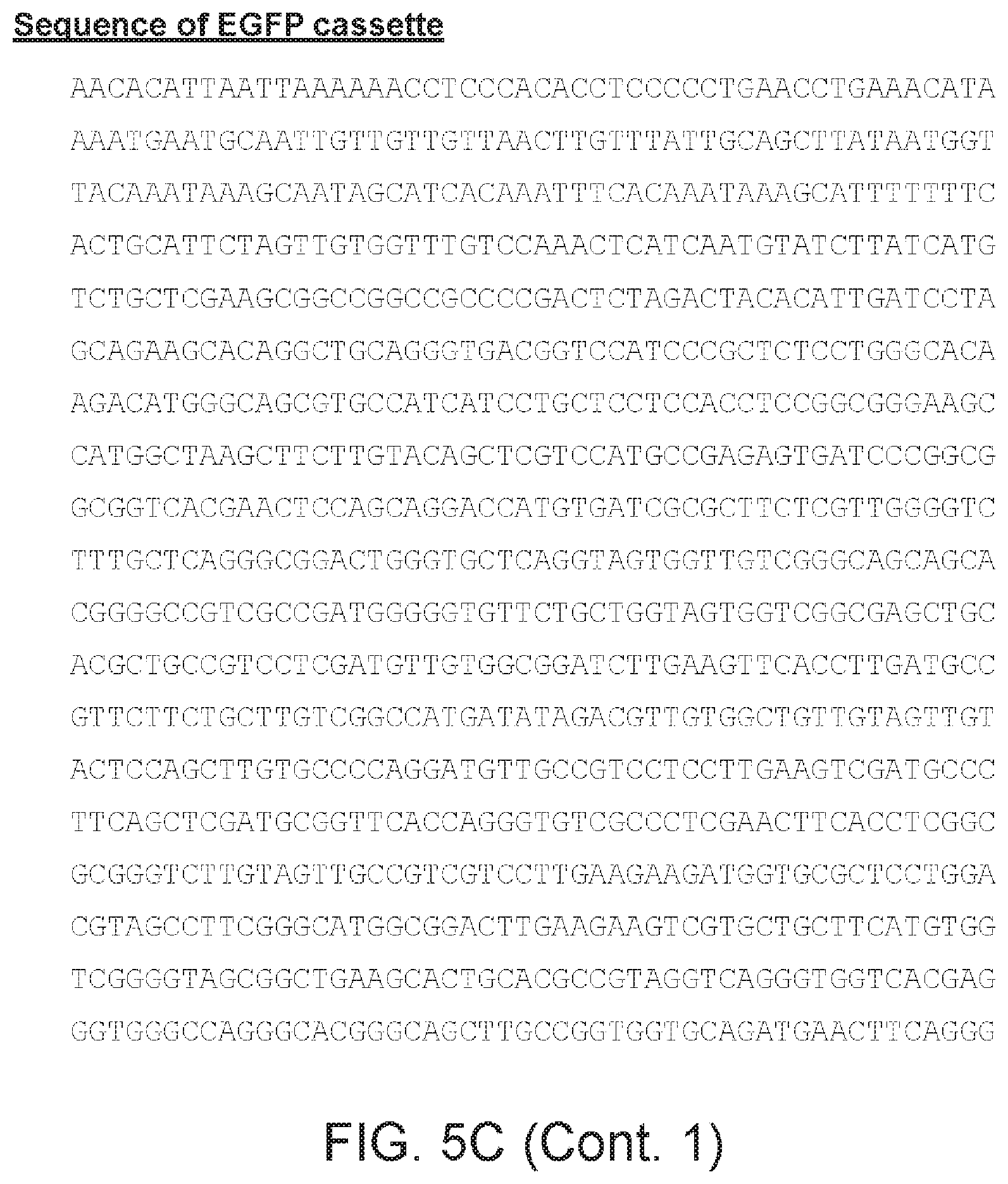 Patent US12480097 Figure 11 – Syncytial oncolytic herpes simplex mutants as potent cancer therapeutics