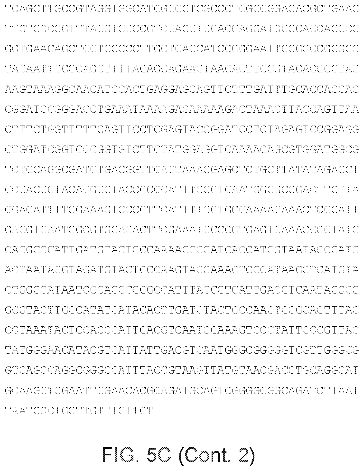 Patent US12480097 Figure 12 – Syncytial oncolytic herpes simplex mutants as potent cancer therapeutics