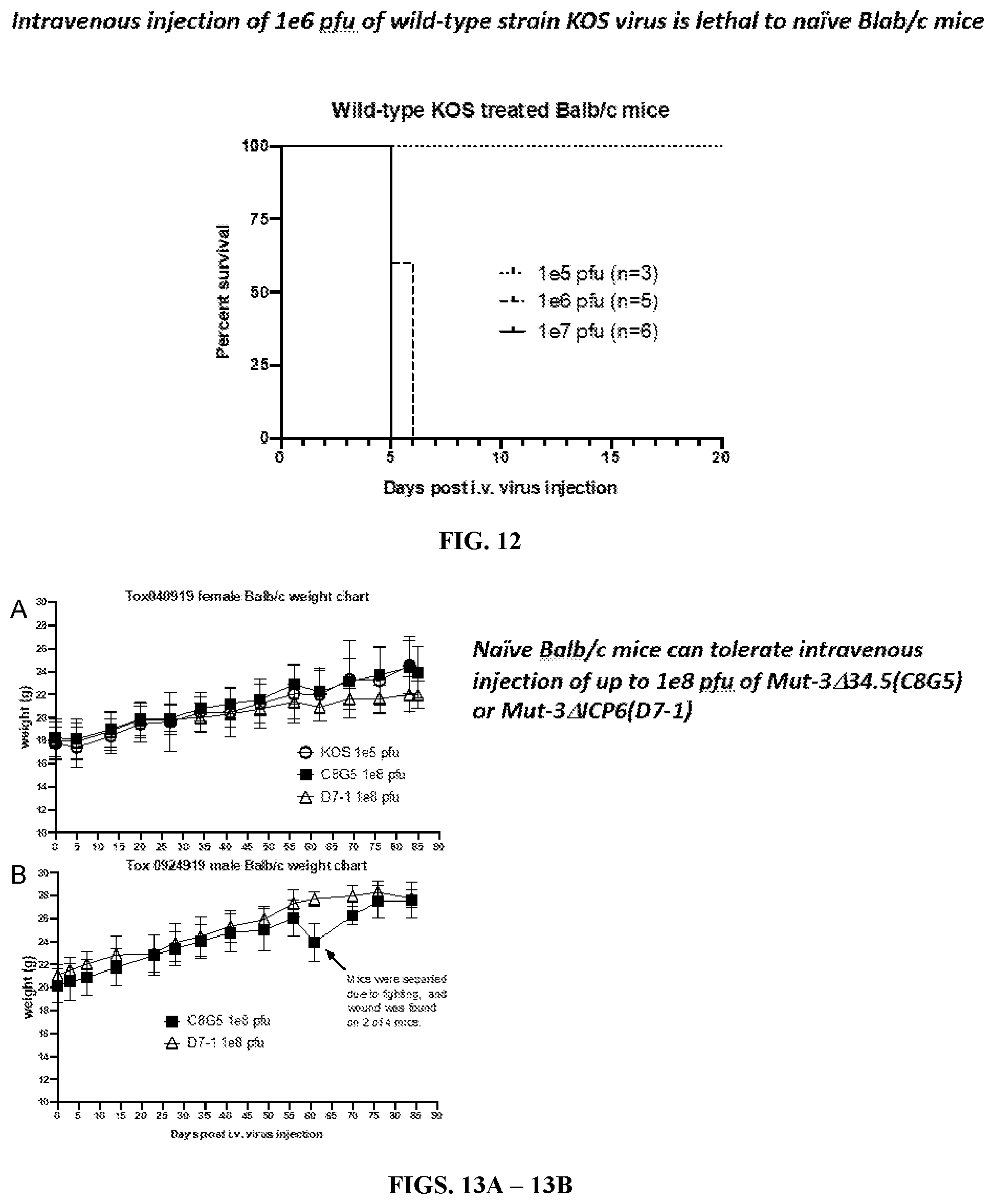Patent US12480097 Figure 17 – Syncytial oncolytic herpes simplex mutants as potent cancer therapeutics