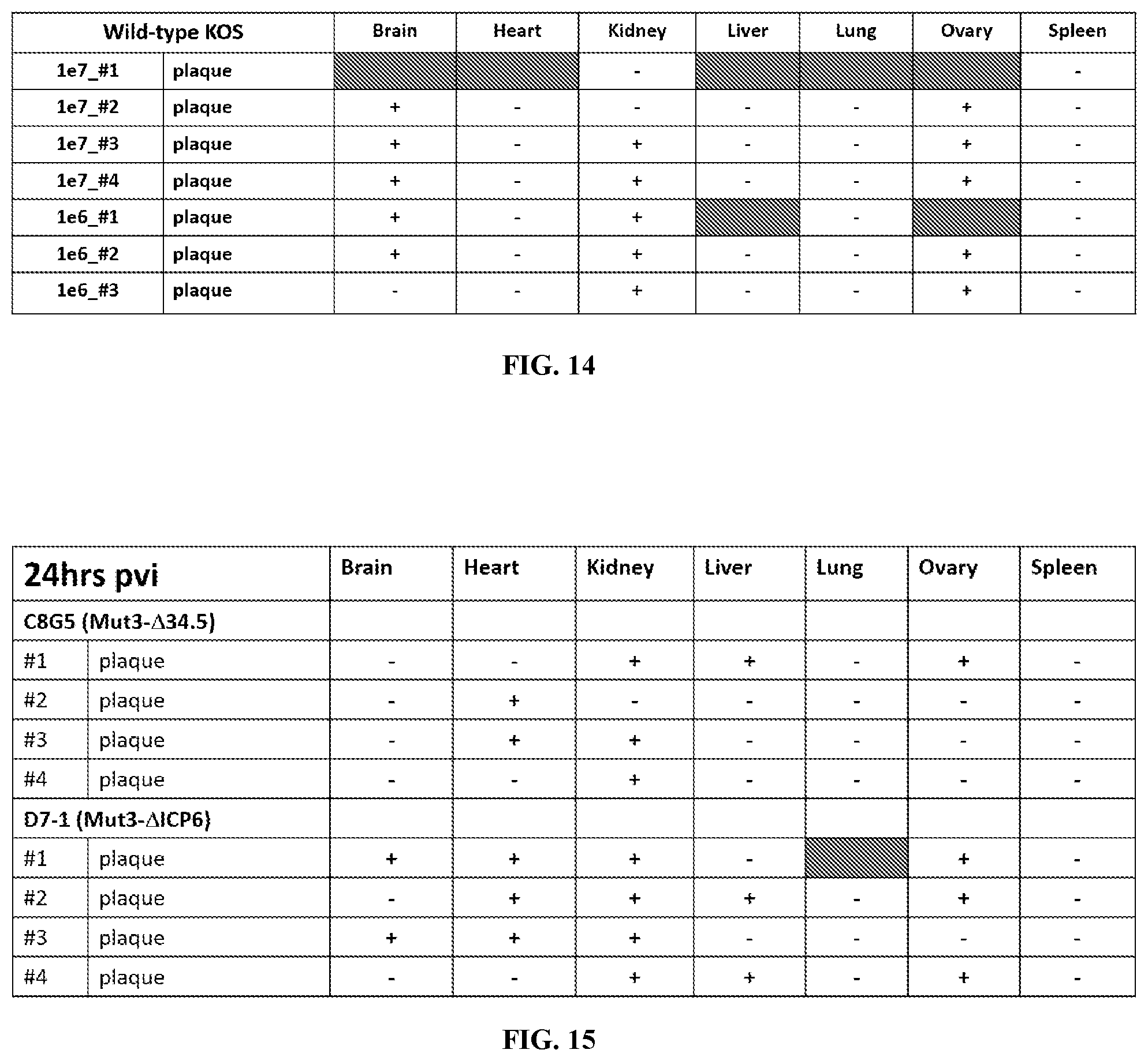 Patent US12480097 Figure 18 – Syncytial oncolytic herpes simplex mutants as potent cancer therapeutics