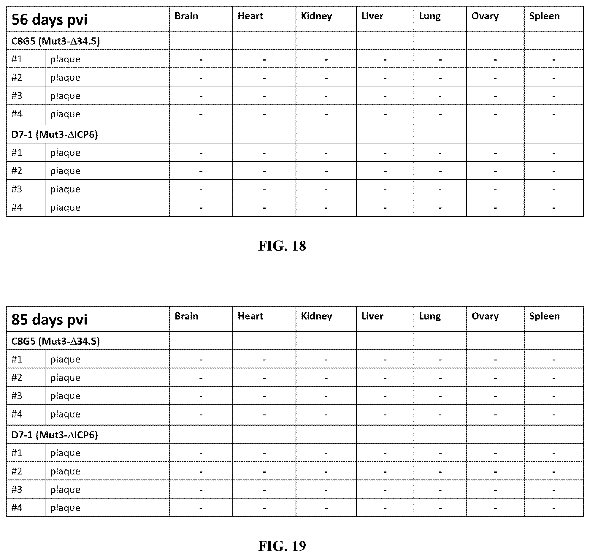 Patent US12480097 Figure 20 – Syncytial oncolytic herpes simplex mutants as potent cancer therapeutics