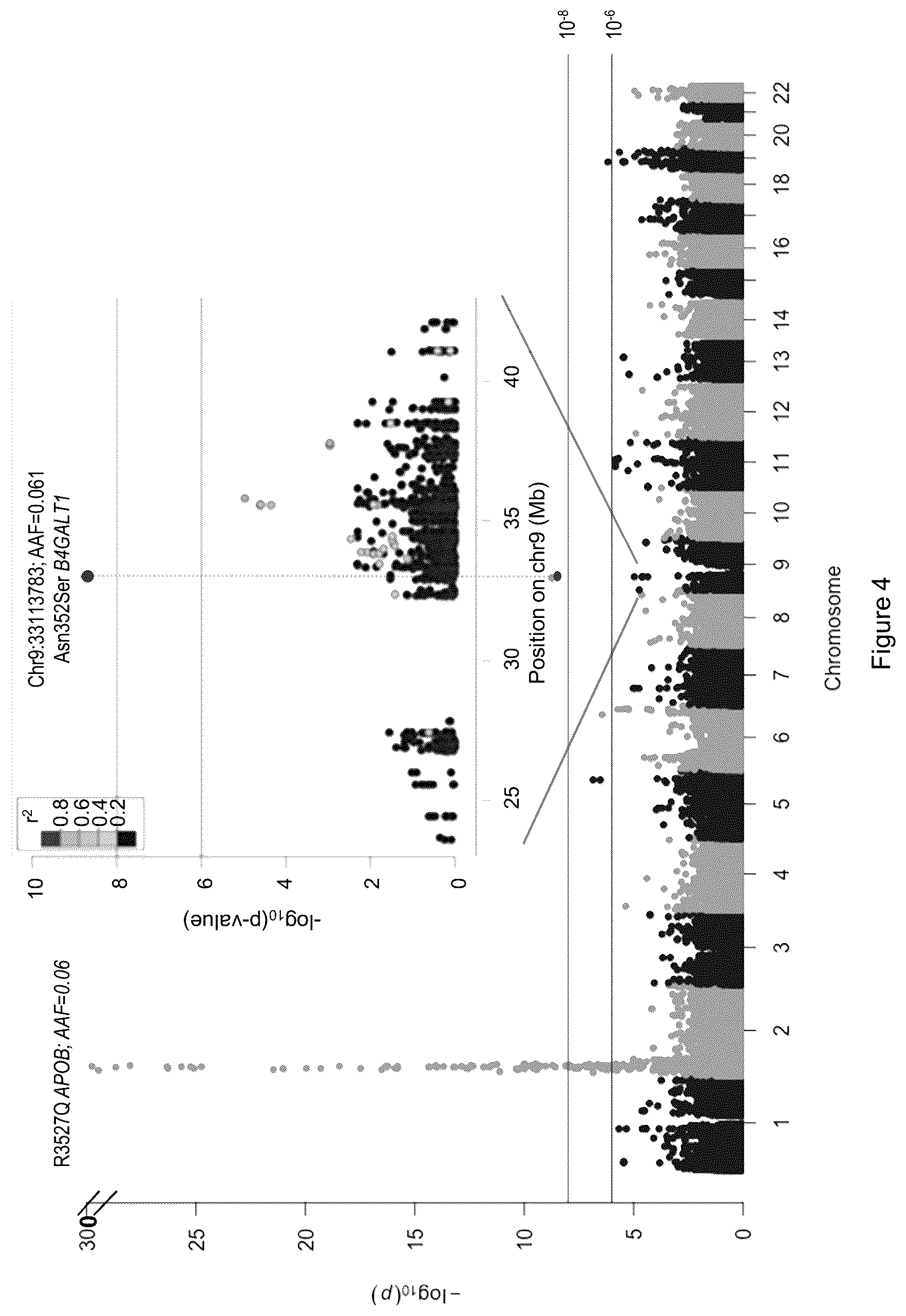 Patent US12480103 Figure 4 – B4GALT1 variants and uses thereof