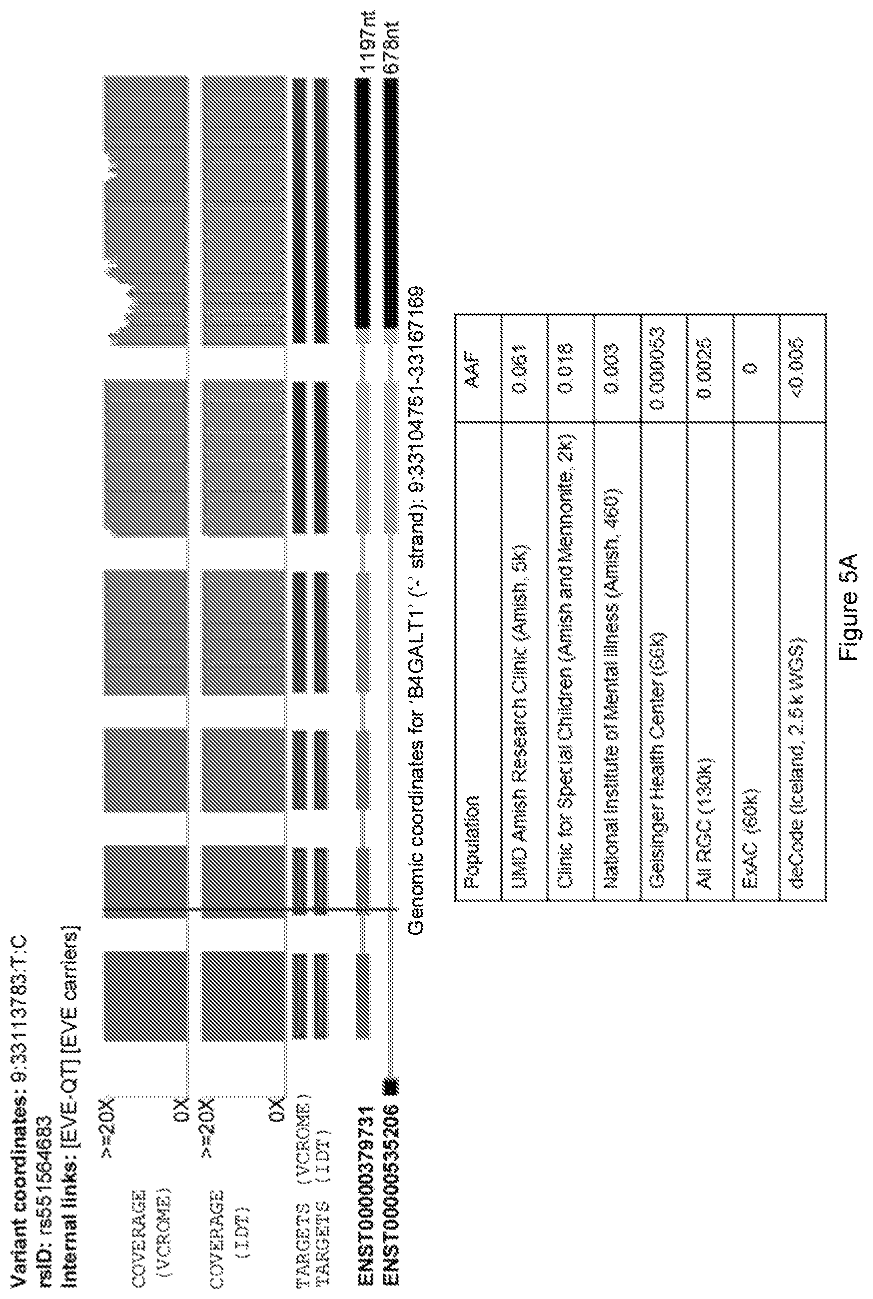 Patent US12480103 Figure 5 – B4GALT1 variants and uses thereof