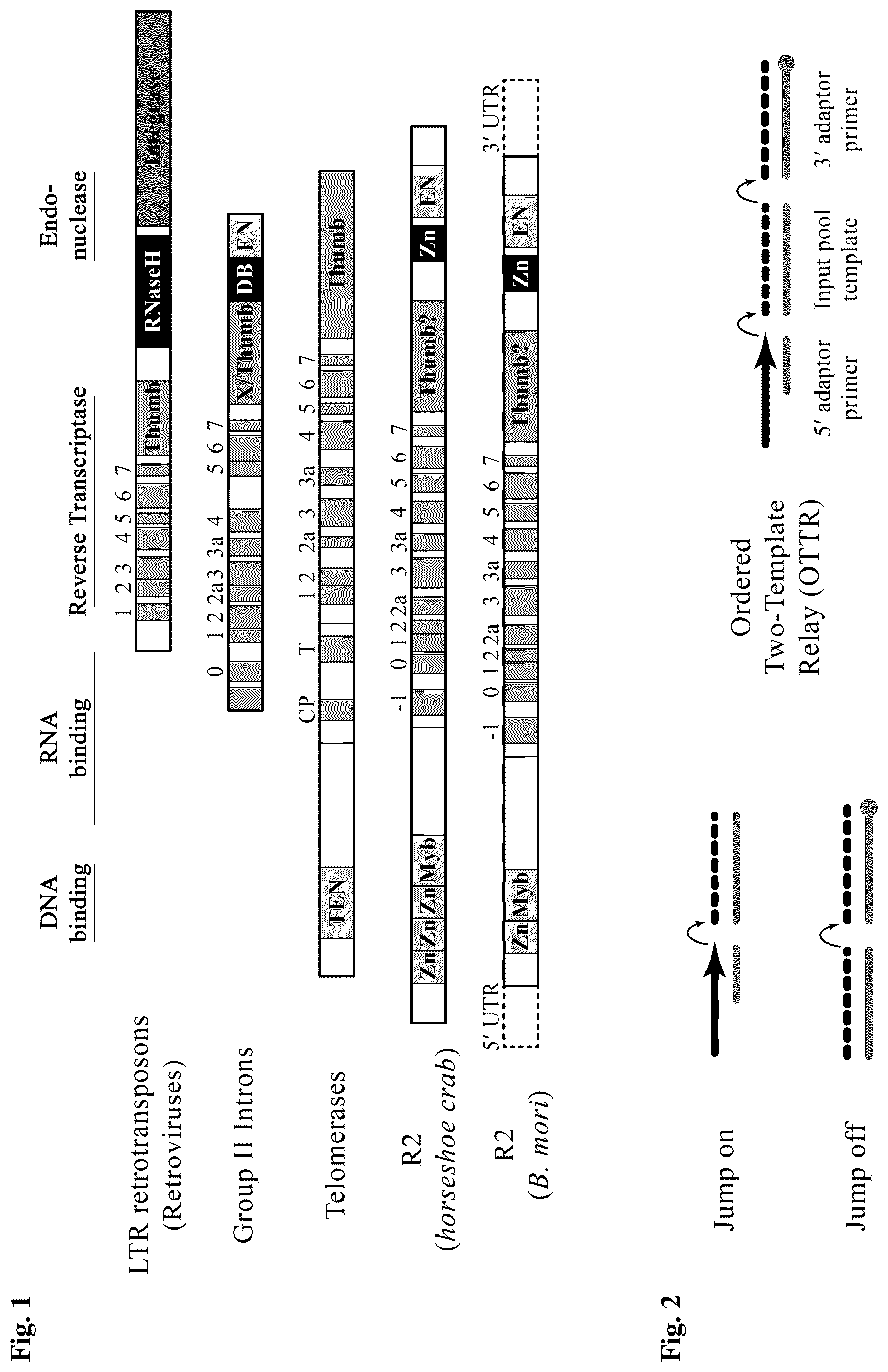 Patent US12480106 Figure 1 – Reactions with non-retroviral reverse transcriptase