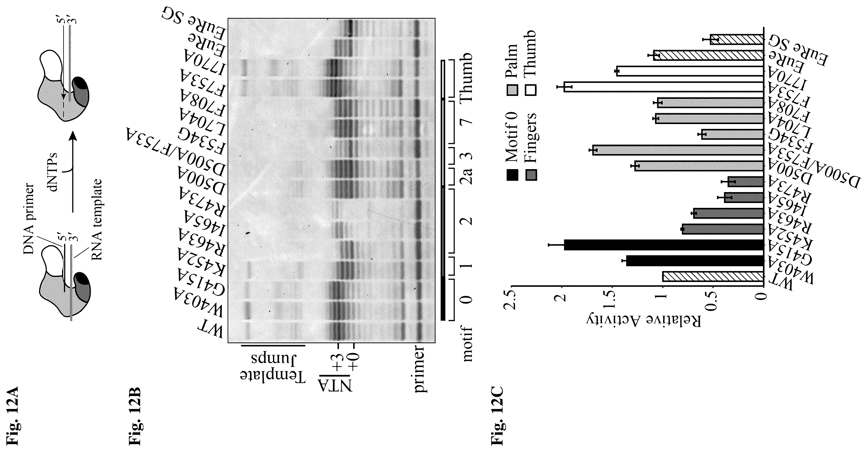 Patent US12480106 Figure 6 – Reactions with non-retroviral reverse transcriptase