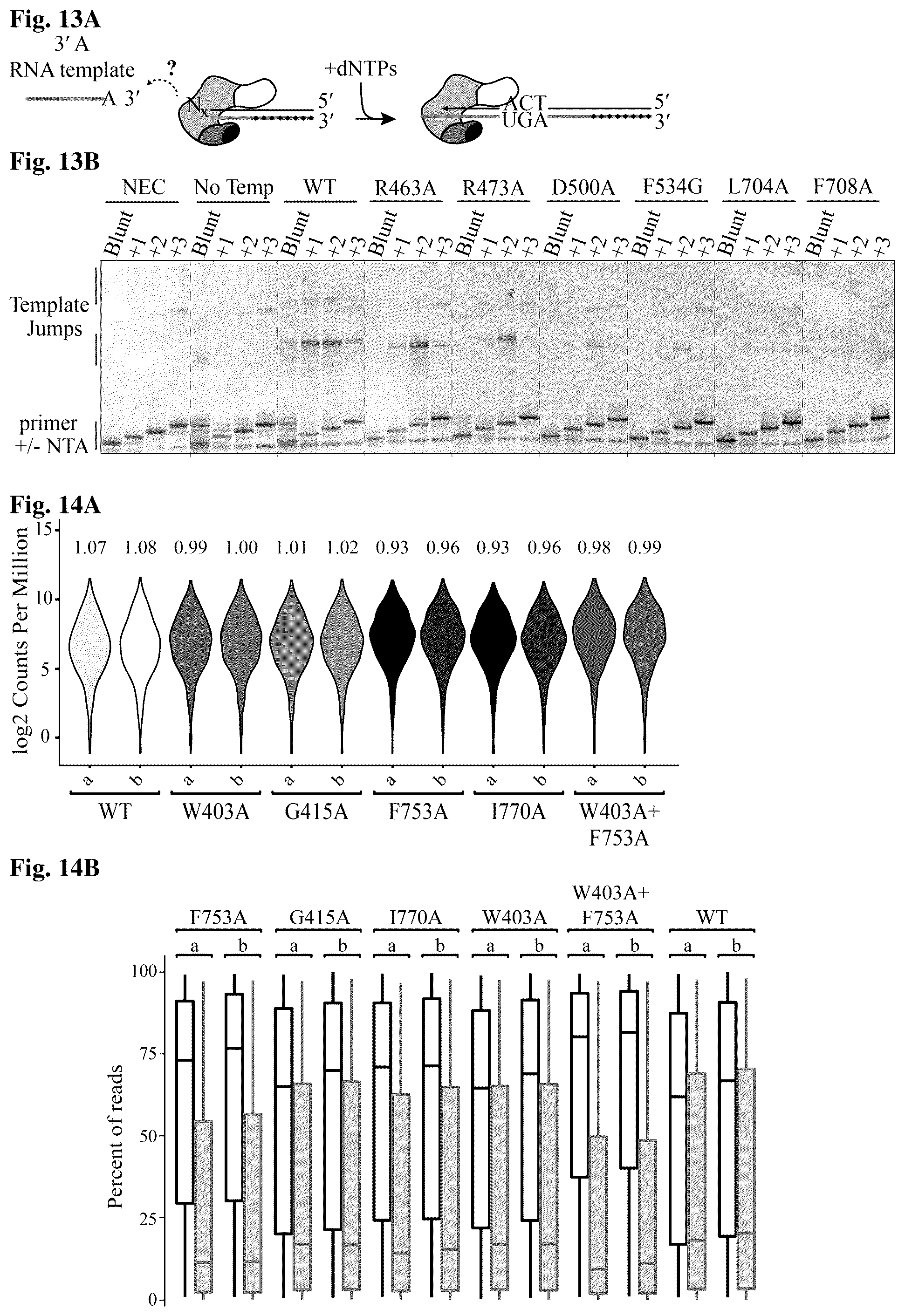 Patent US12480106 Figure 7 – Reactions with non-retroviral reverse transcriptase