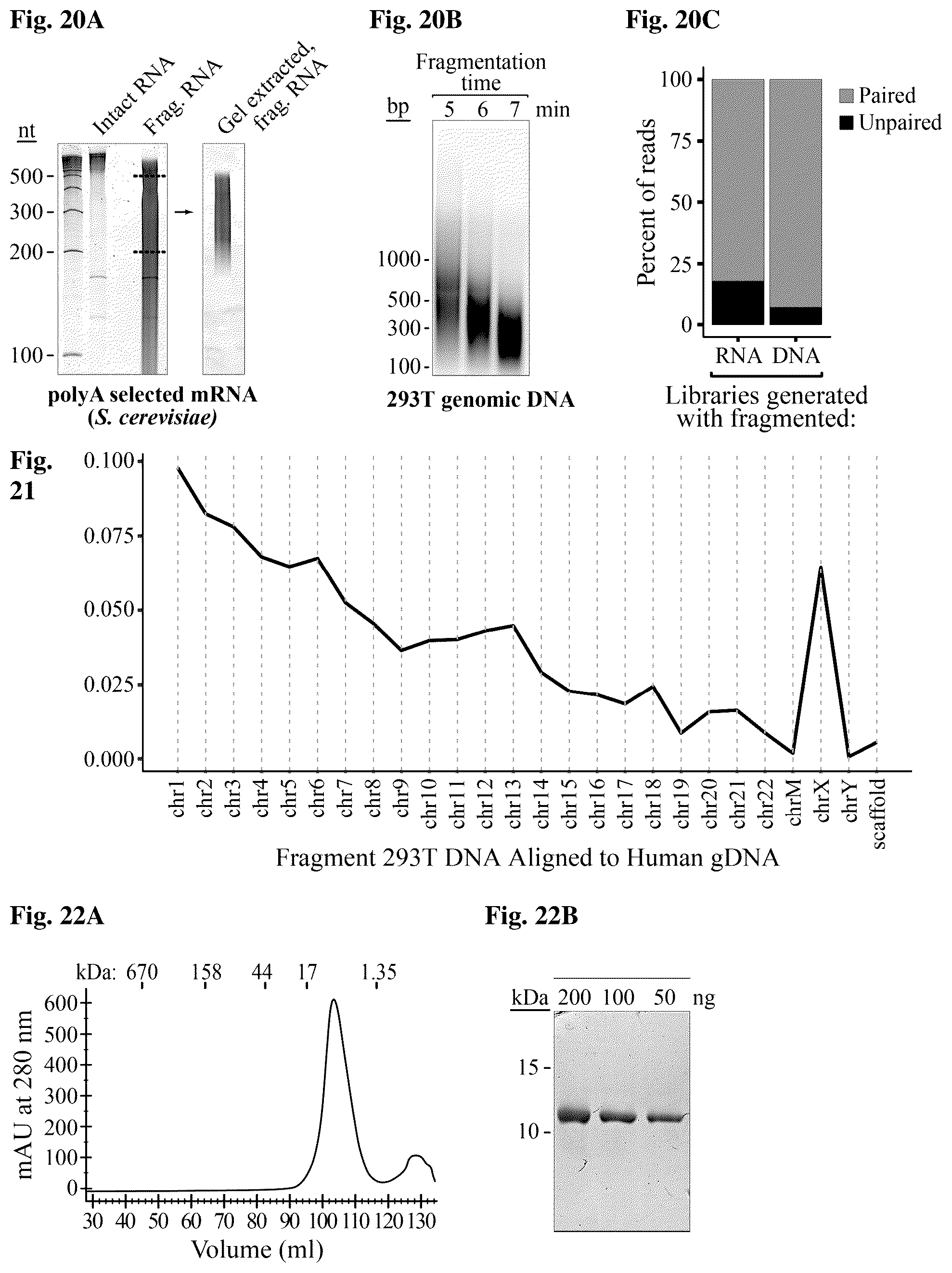 Patent US12480106 Figure 10 – Reactions with non-retroviral reverse transcriptase
