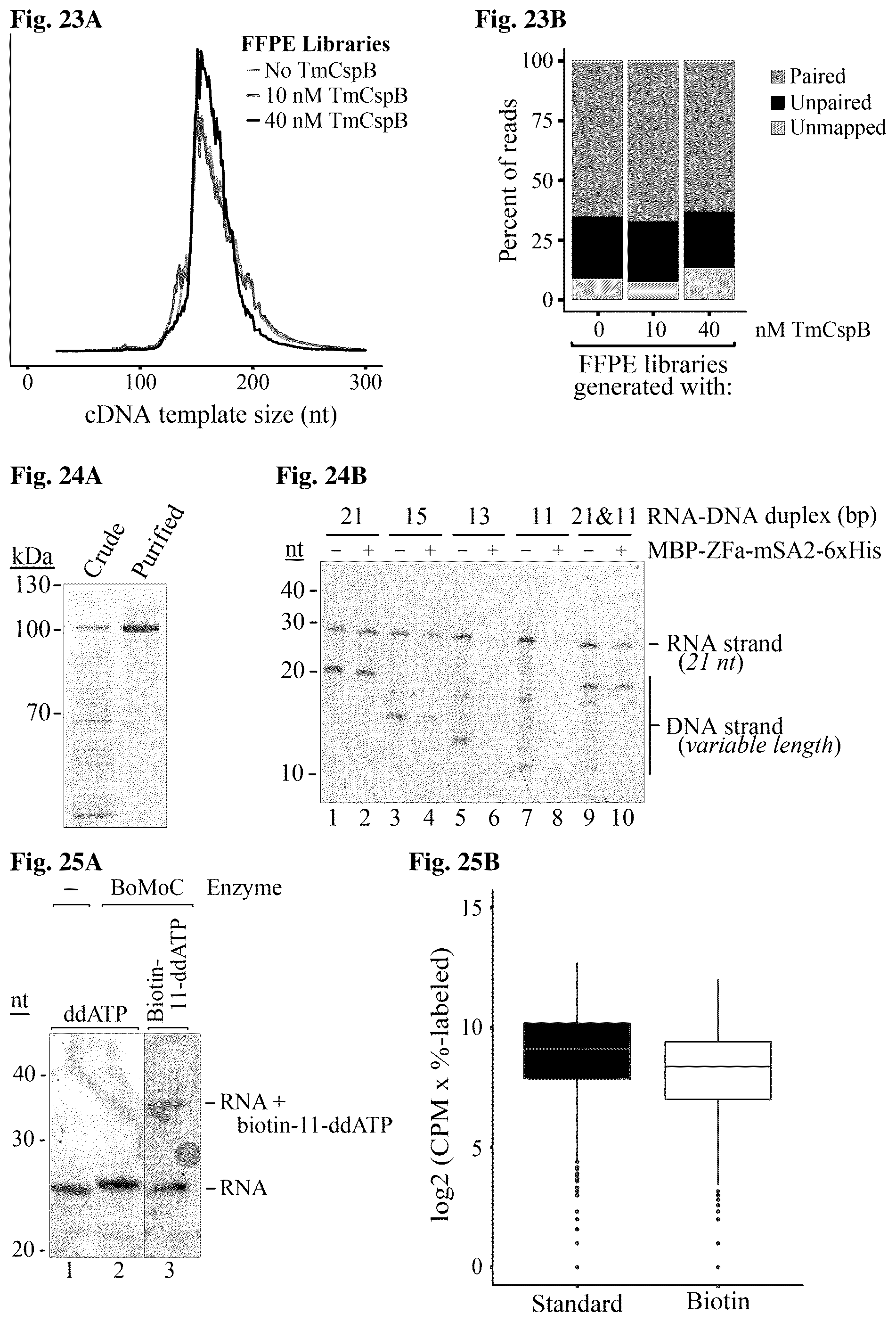 Patent US12480106 Figure 11 – Reactions with non-retroviral reverse transcriptase