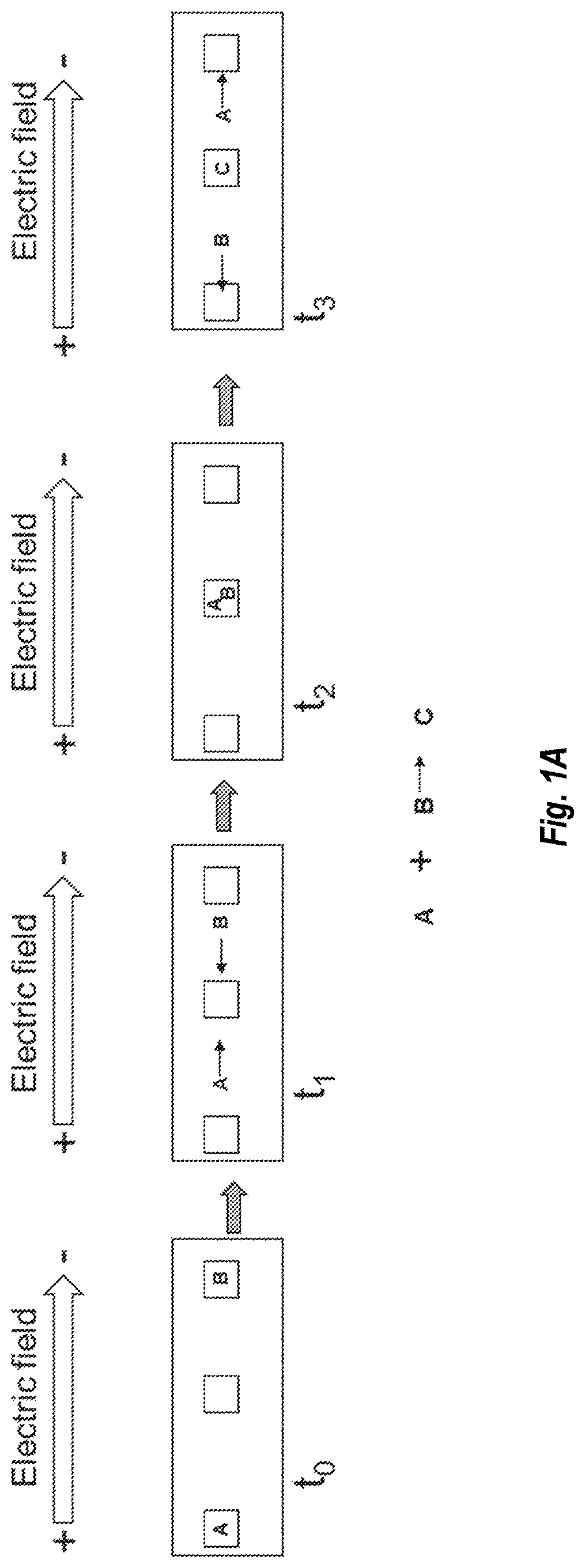 Patent US12480114 — Nucleic acid library preparation using electrophoresis — Figure 1