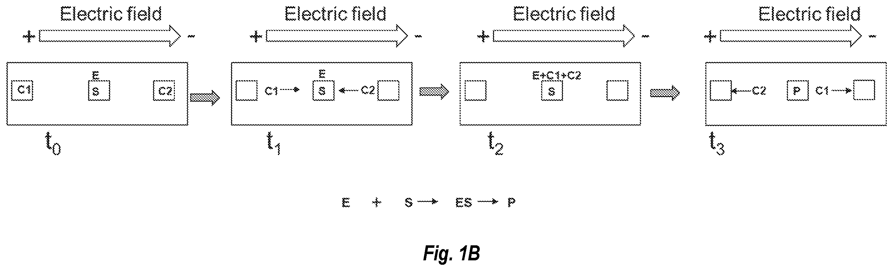 Patent US12480114 Figure 2 – Nucleic acid library preparation using electrophoresis