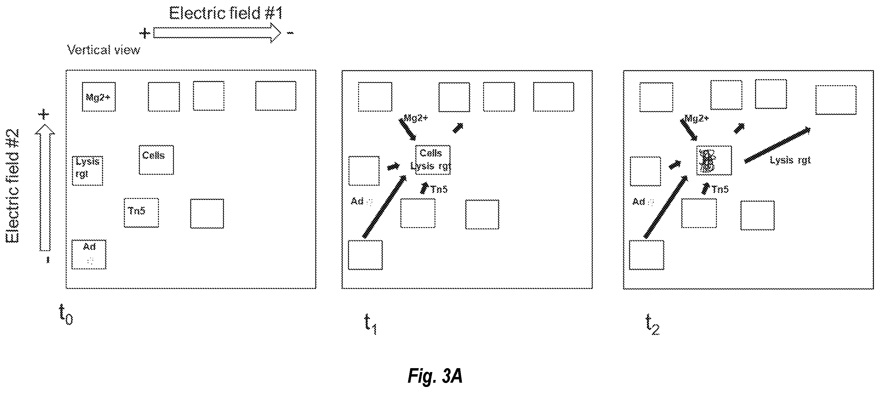 Patent US12480114 Figure 5 – Nucleic acid library preparation using electrophoresis