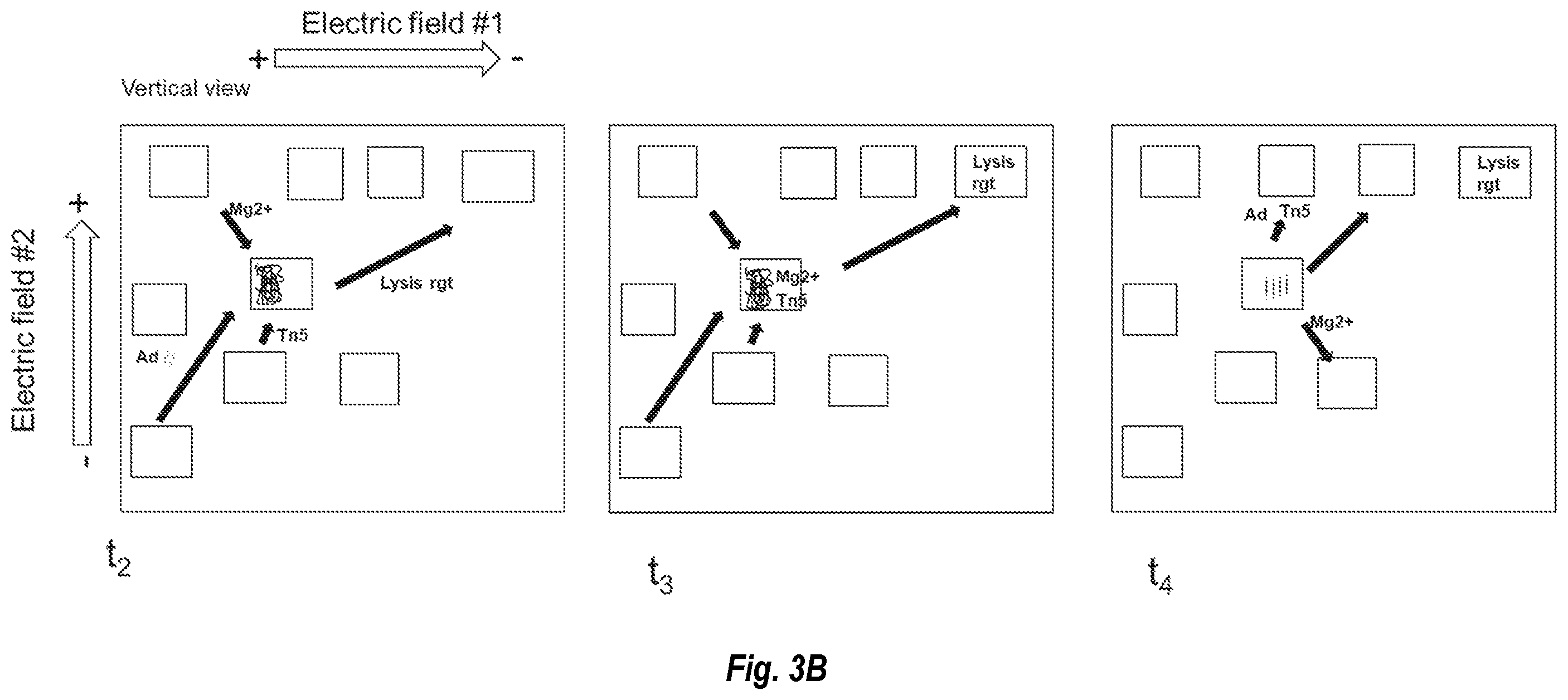 Patent US12480114 Figure 6 – Nucleic acid library preparation using electrophoresis