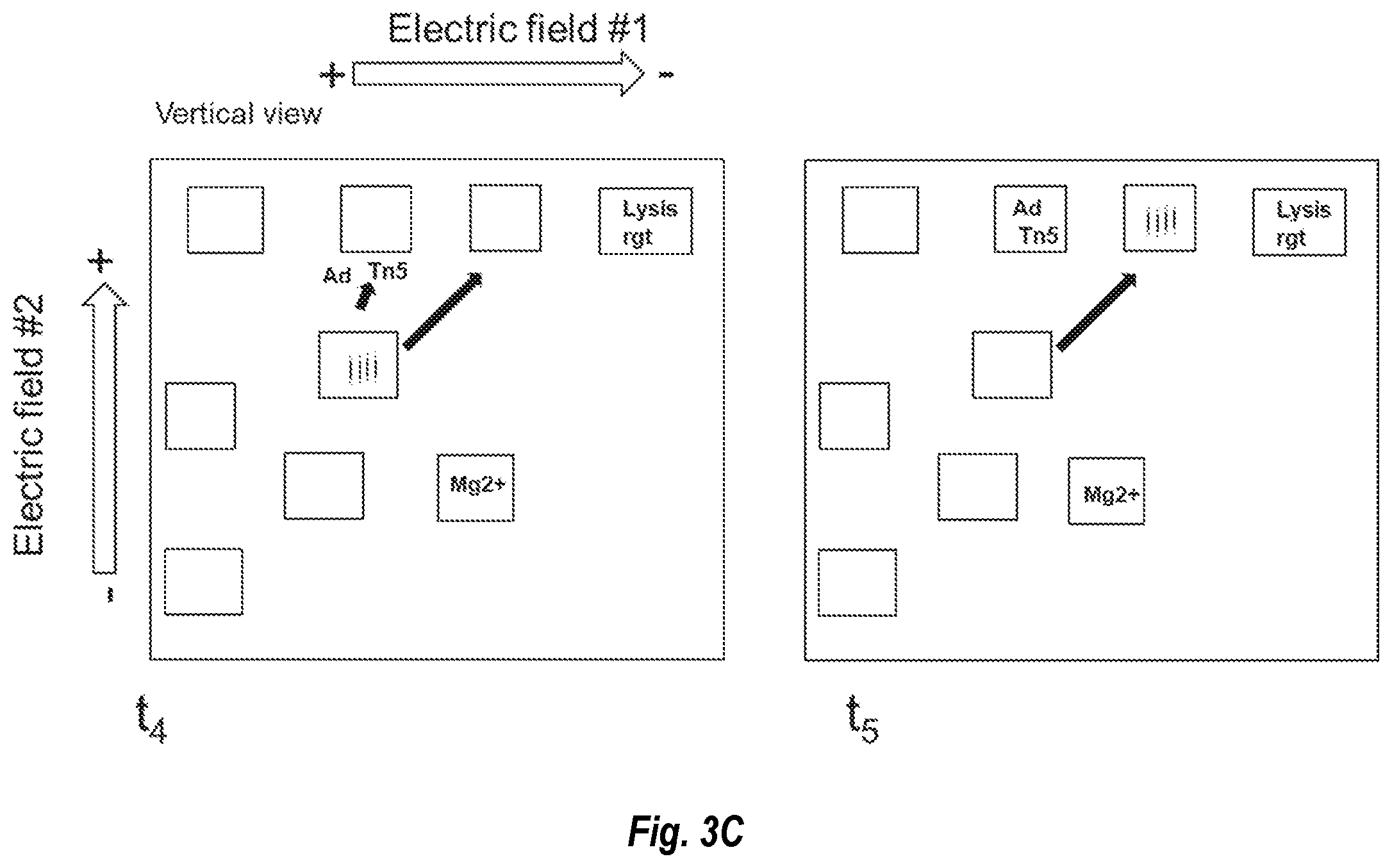 Patent US12480114 Figure 7 – Nucleic acid library preparation using electrophoresis