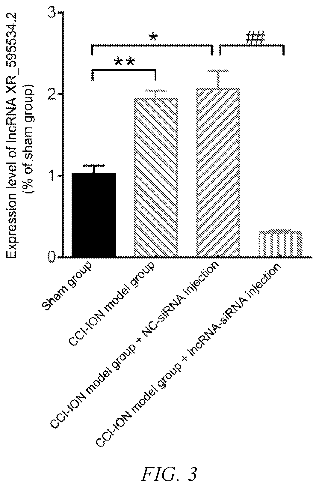 Patent US12480116 Figure 2 – Use of lncRNA XR_595534.2 in preparation of medicine for treatment or prevention of chronic pain