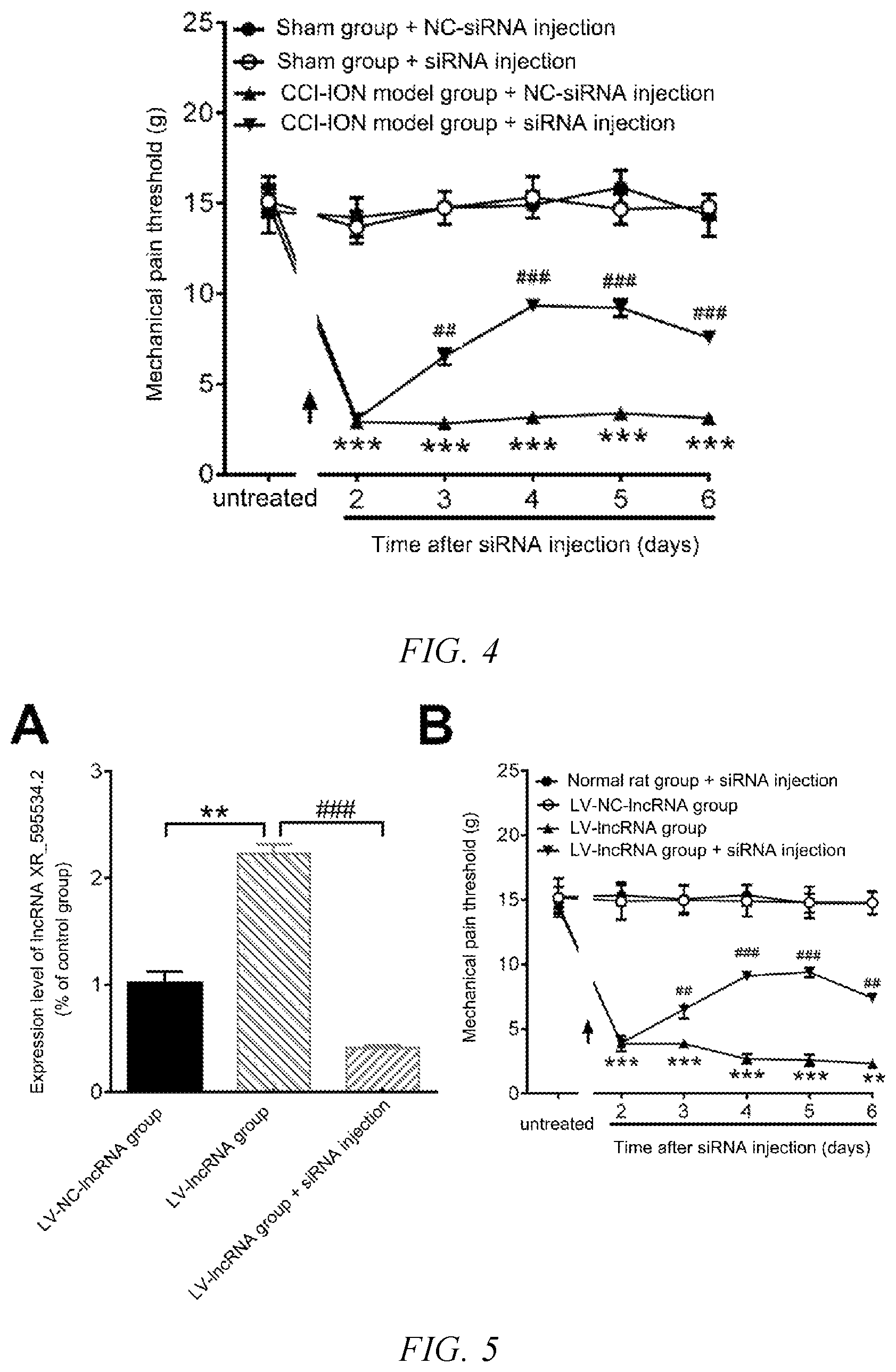 Patent US12480116 Figure 3 – Use of lncRNA XR_595534.2 in preparation of medicine for treatment or prevention of chronic pain