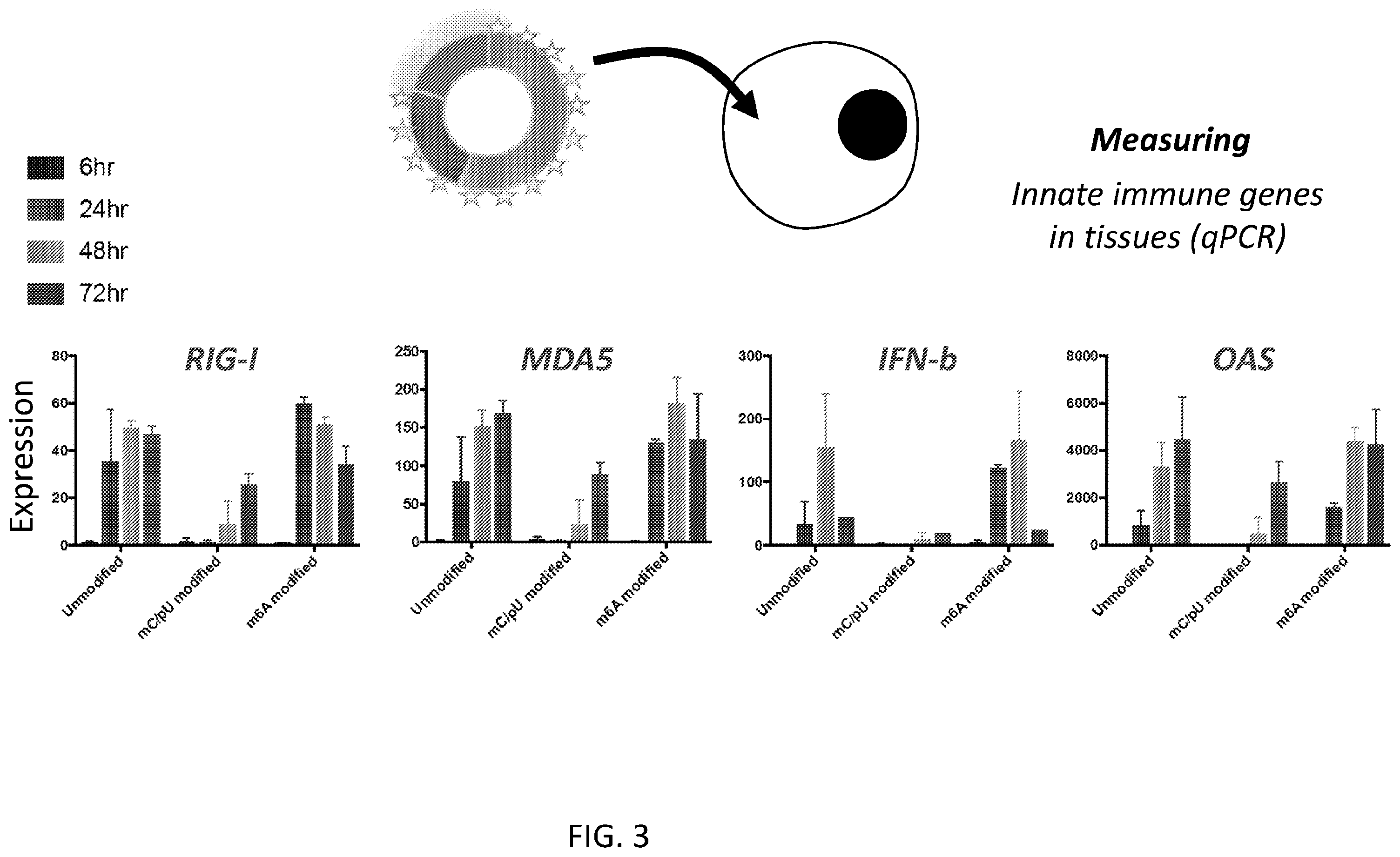 Patent US12480117 Figure 7 – Compositions comprising modified circular polyribonucleotides and uses thereof