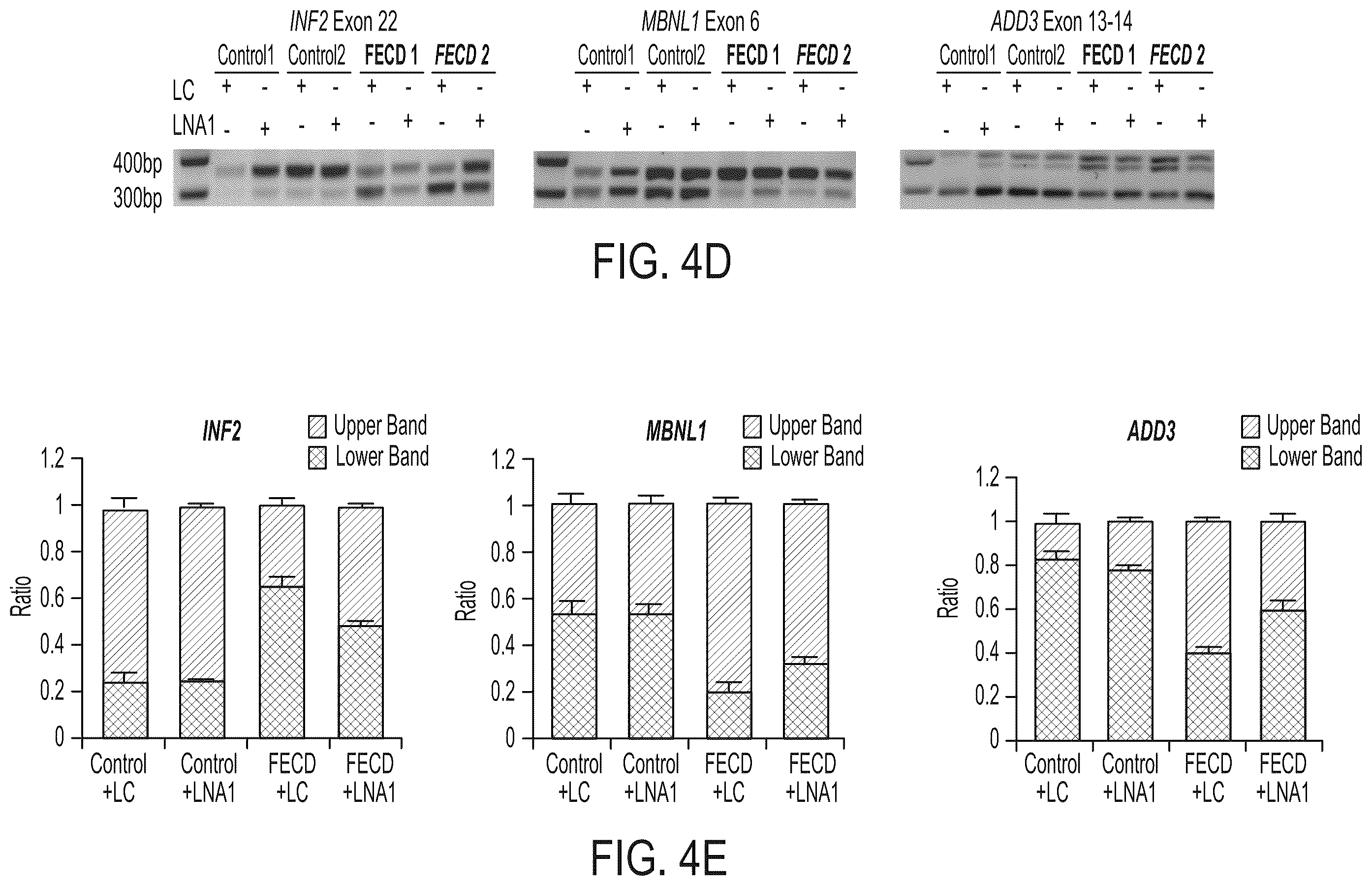 Patent US12480118 Figure 7 – Treatment of Fuchs' endothelial corneal dystrophy