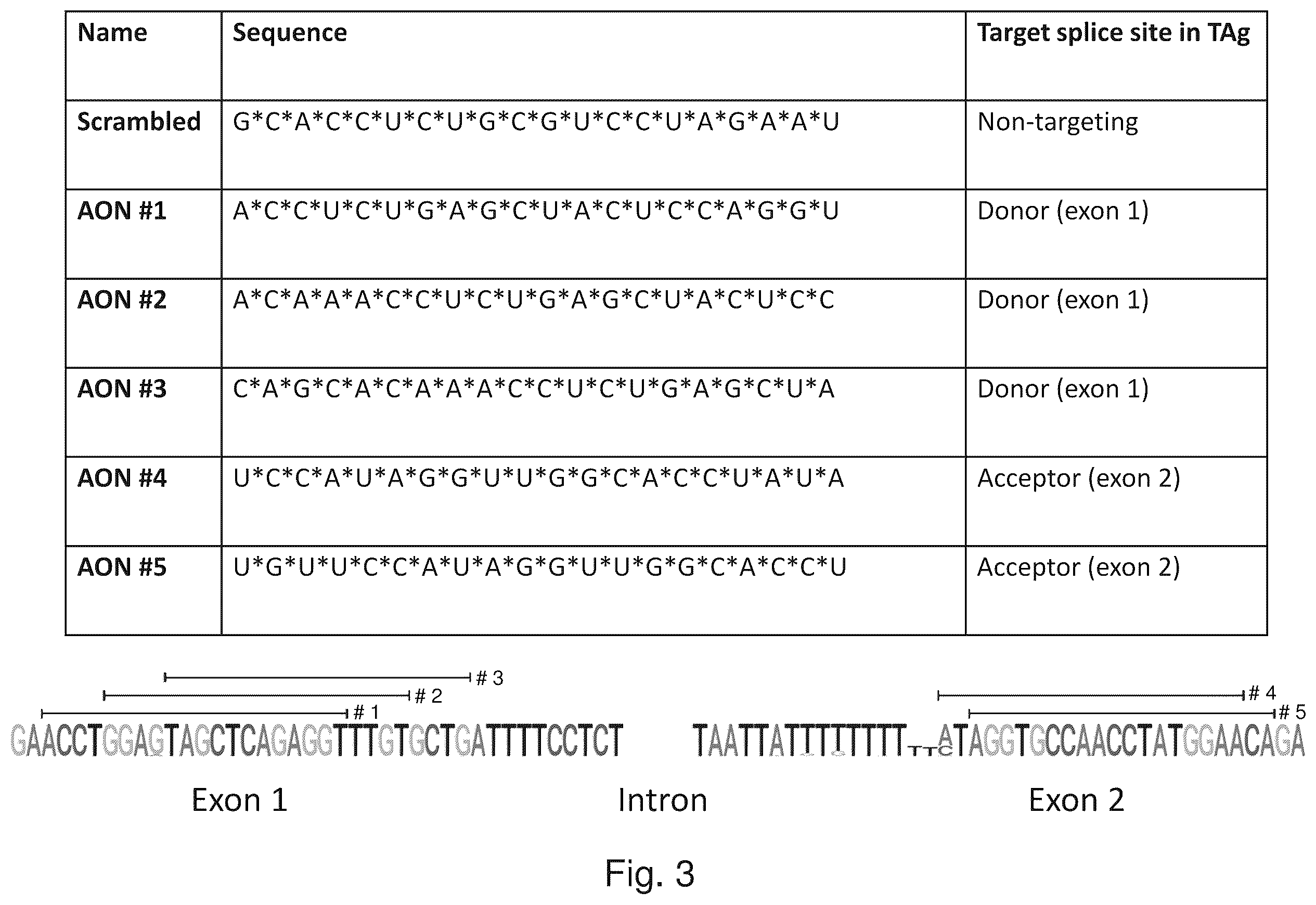 Patent US12480122 Figure 6 – Inhibition of polyomavirus replication