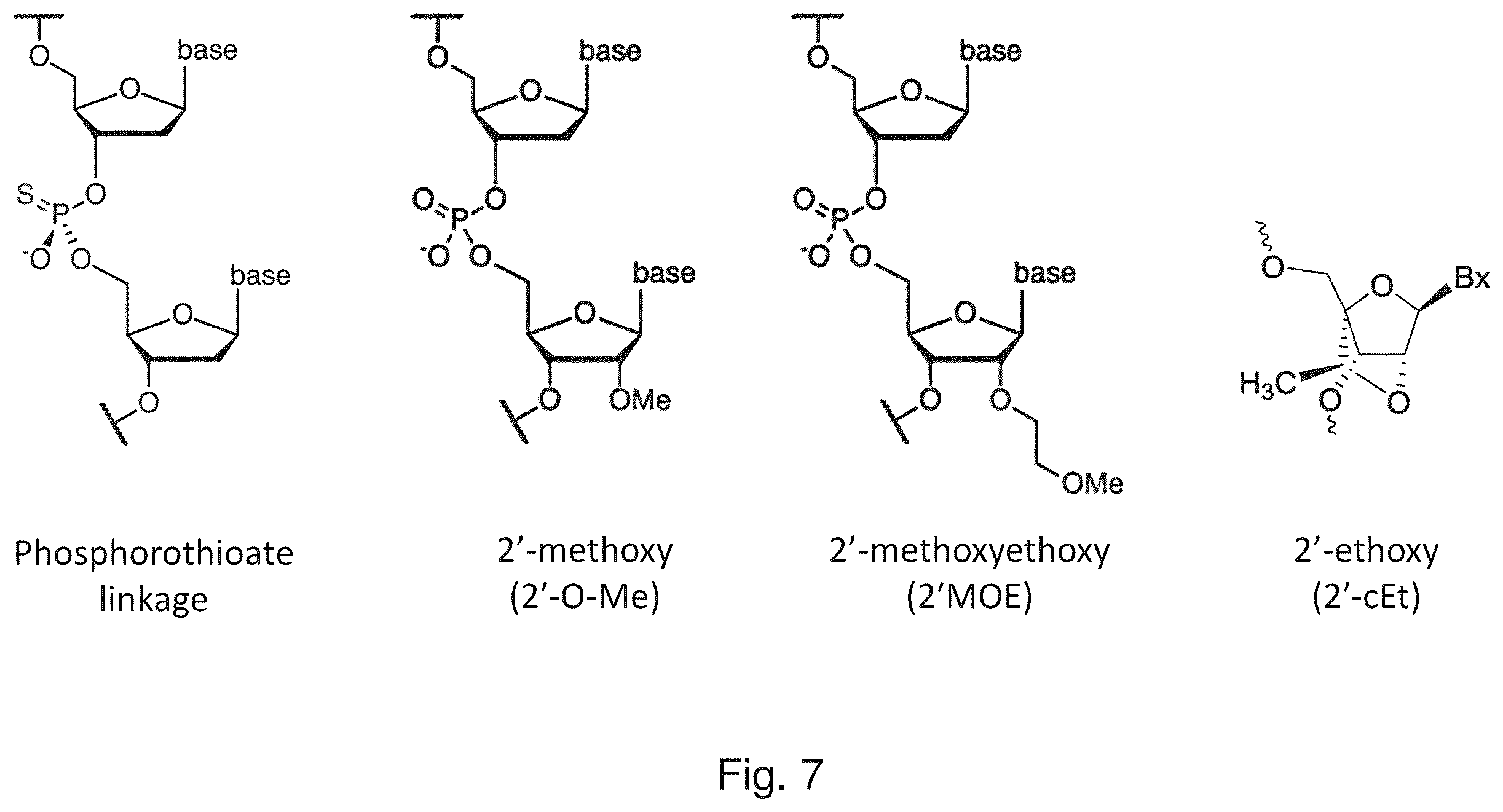 Patent US12480122 Figure 9 – Inhibition of polyomavirus replication