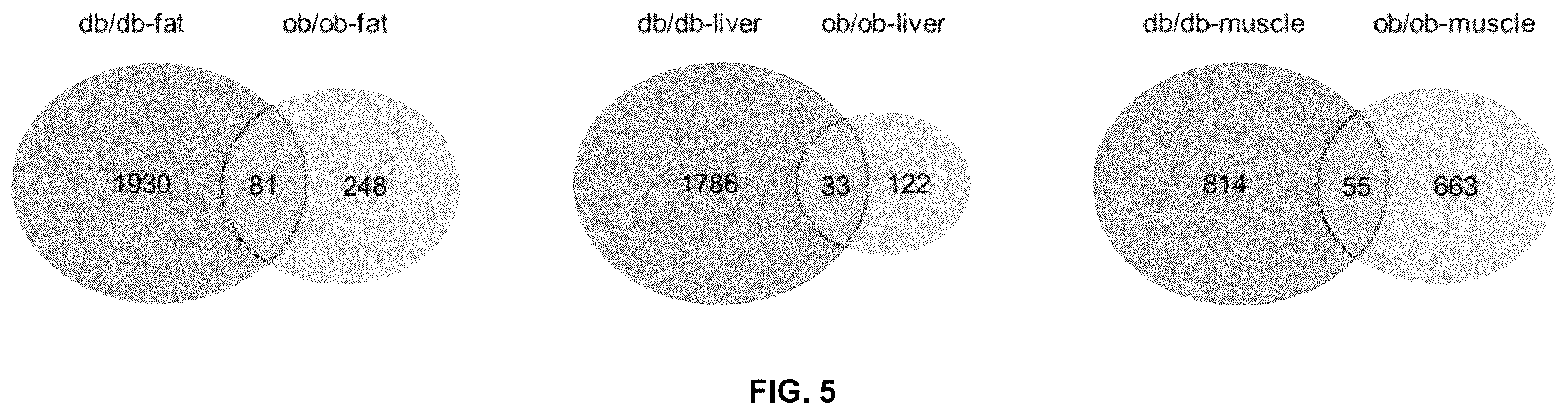Patent US12480127 Figure 5 – siRNA, medical compositions, and methods for treating diabetes using the same