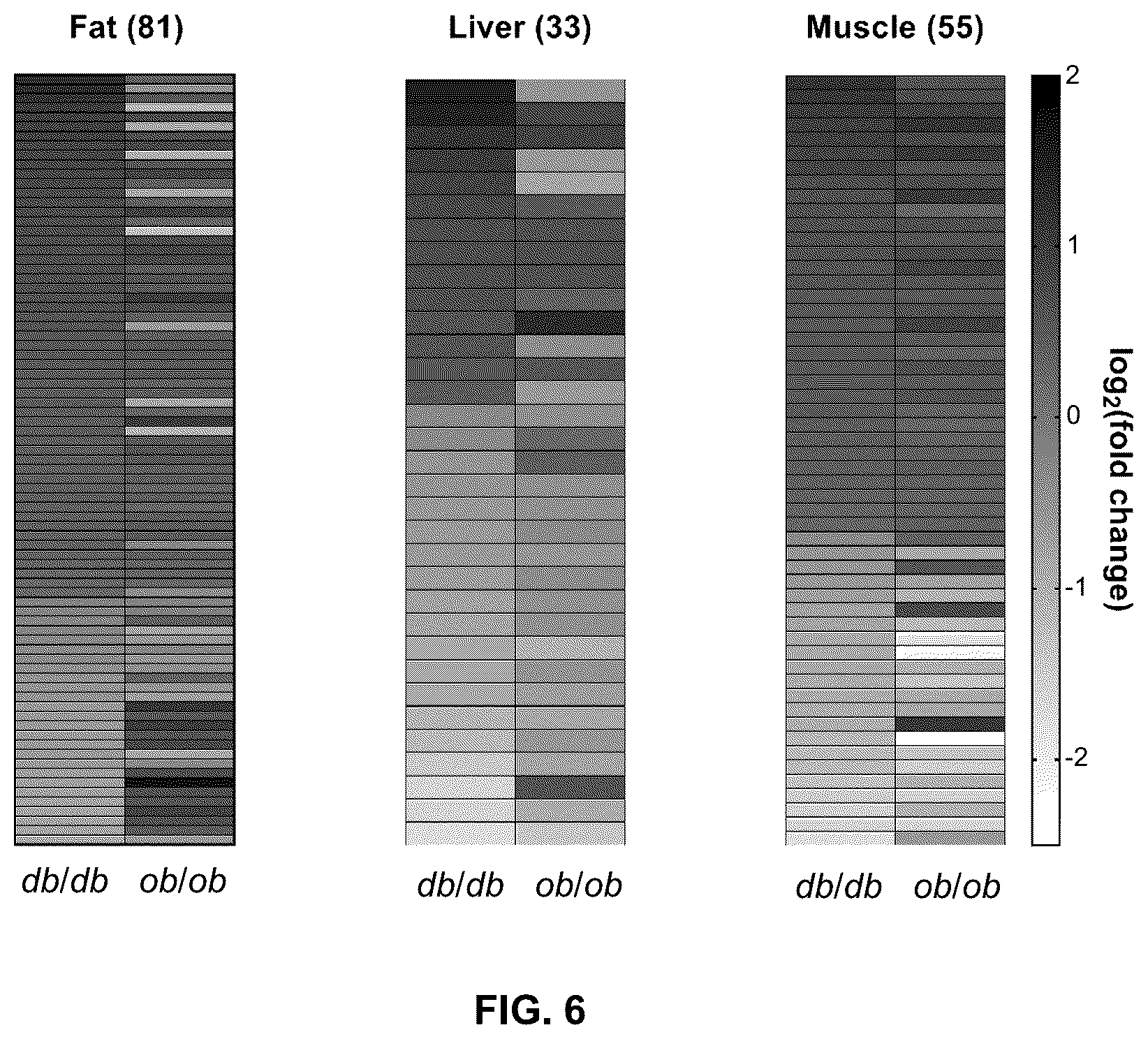 Patent US12480127 Figure 6 – siRNA, medical compositions, and methods for treating diabetes using the same