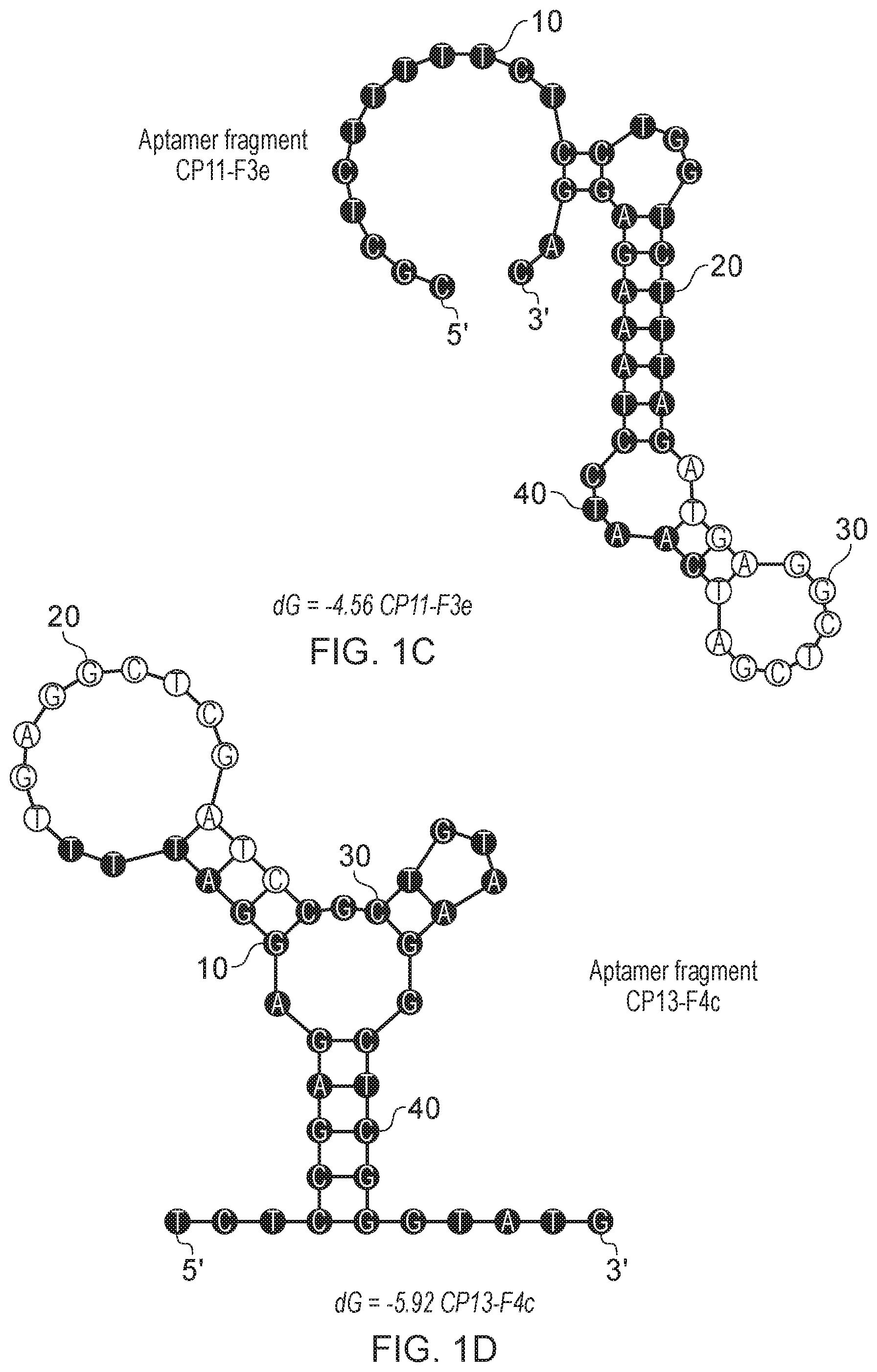 Patent US12480130 Figure 3 – Aptamer against irinotecan