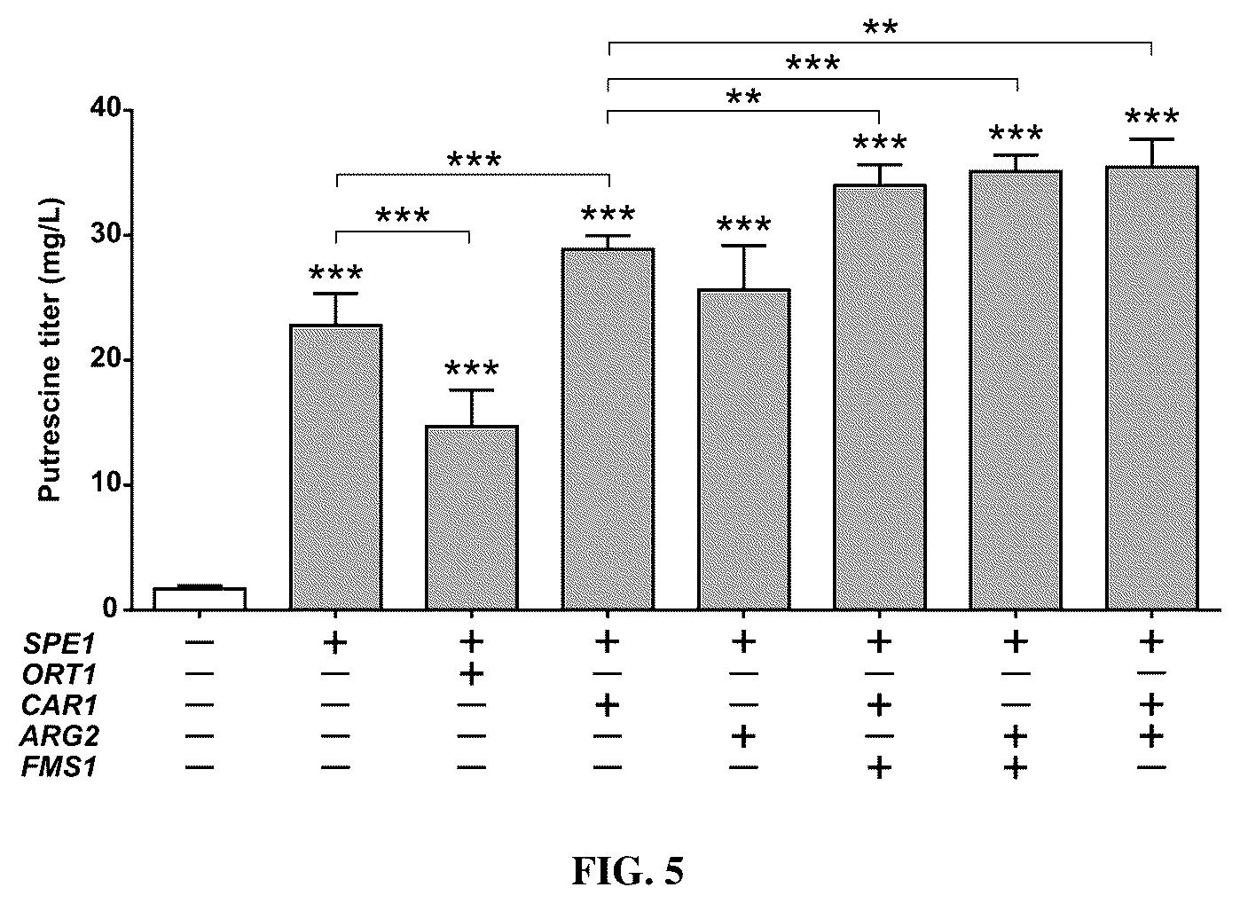 Patent US12480131 Figure 5 – Tropane alkaloid (TA) producing non-plant host cells, and methods of making and using the same