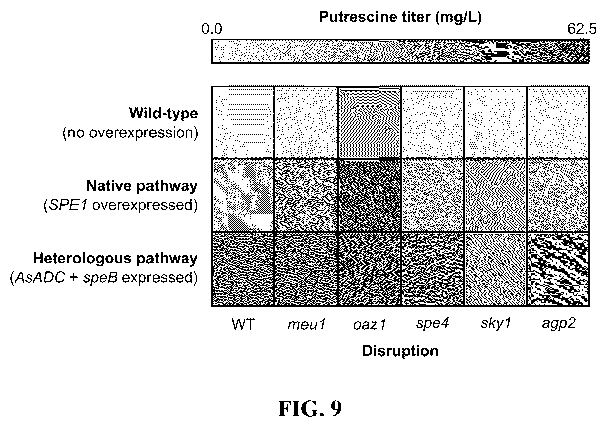 Patent US12480131 Figure 9 – Tropane alkaloid (TA) producing non-plant host cells, and methods of making and using the same