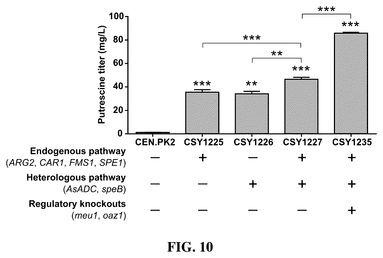 Patent US12480131 Figure 10 – Tropane alkaloid (TA) producing non-plant host cells, and methods of making and using the same